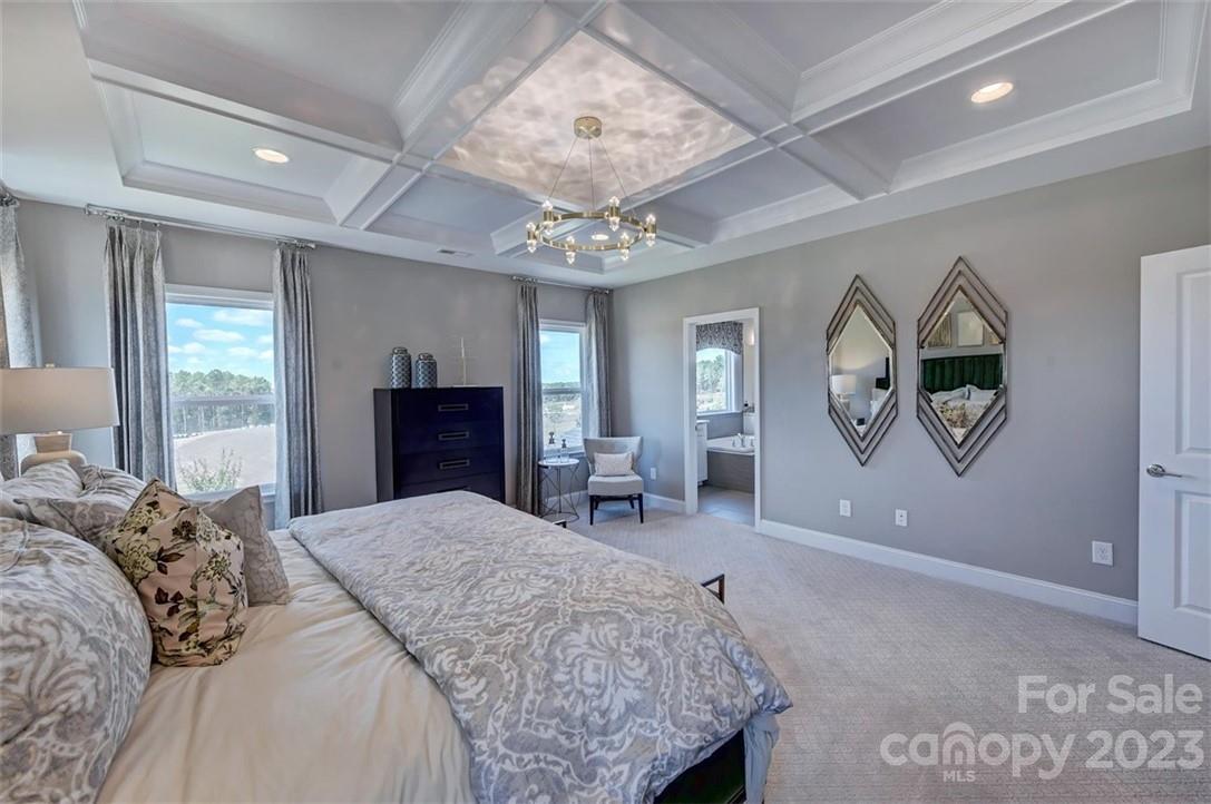 Meadow Vista - Residential