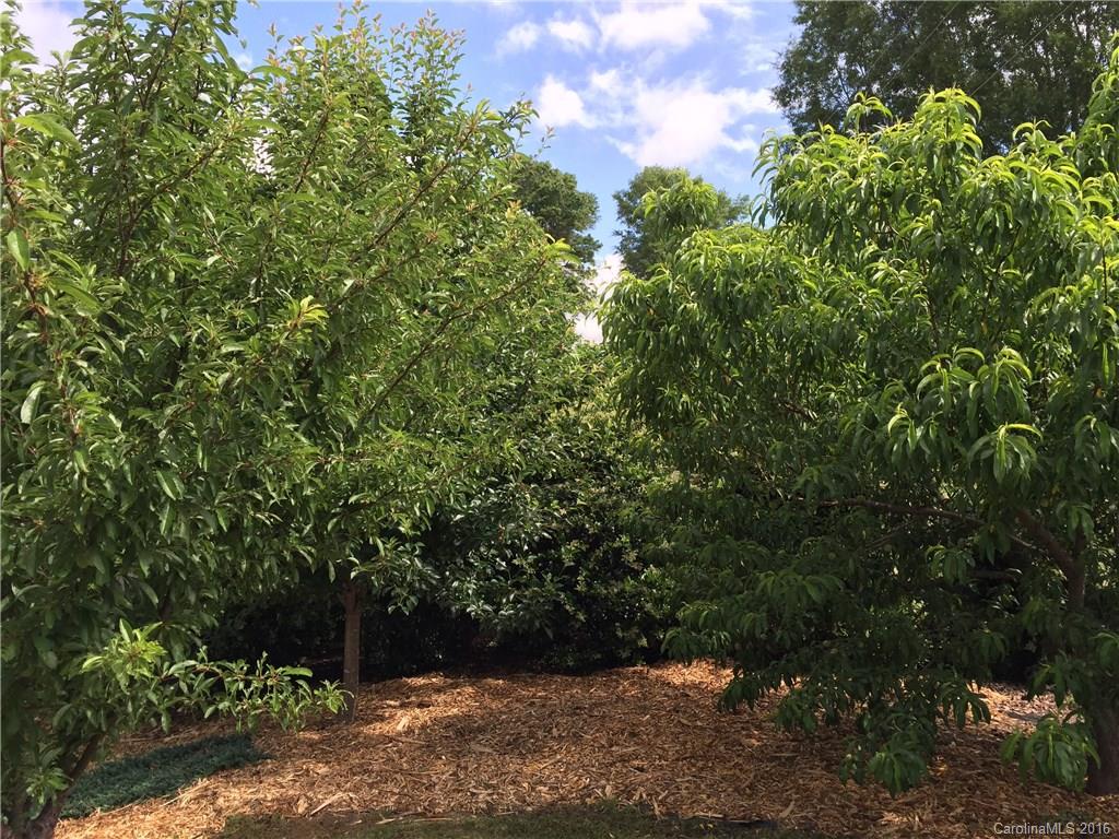 Raintree - Residential