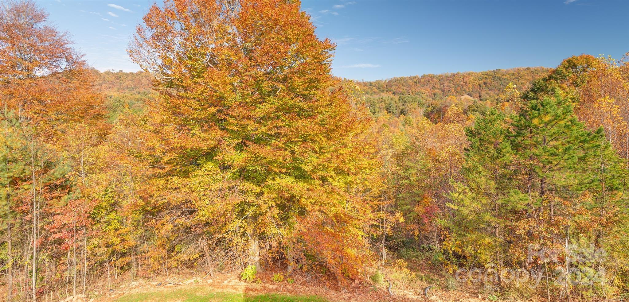 Greenwood Park - Residential