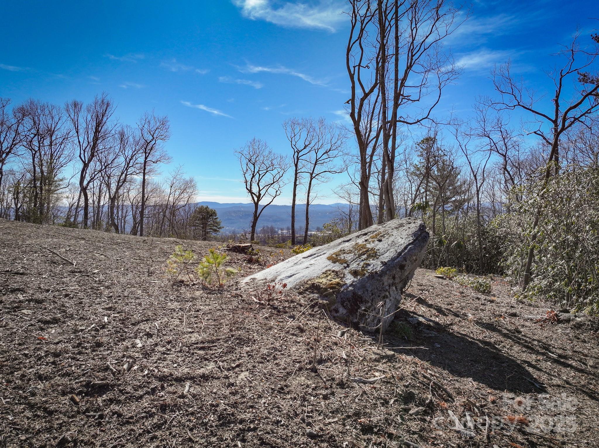 Lot #48 Mountain Grove Lane