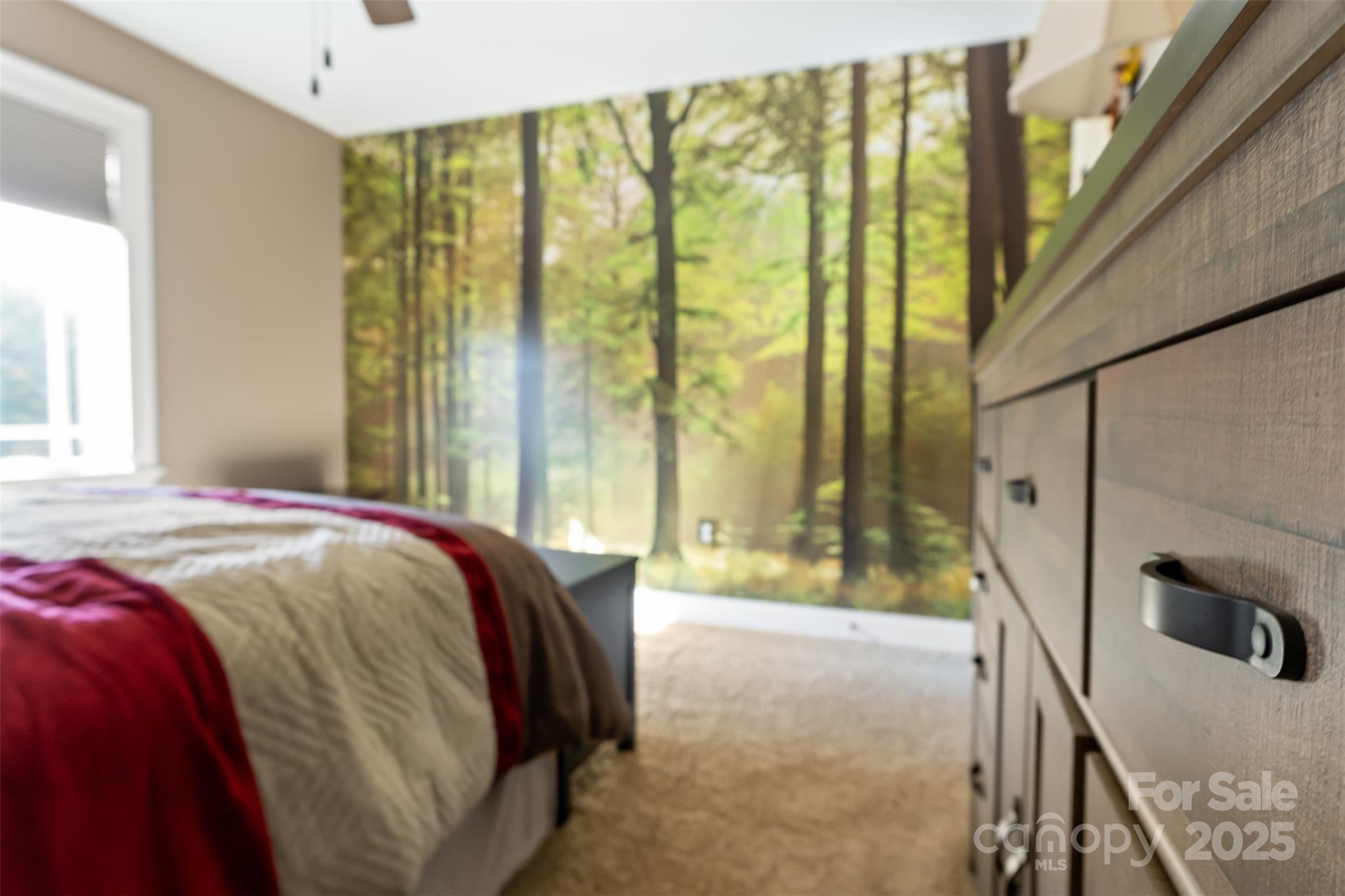 Mountain Creek Ridge - Residential