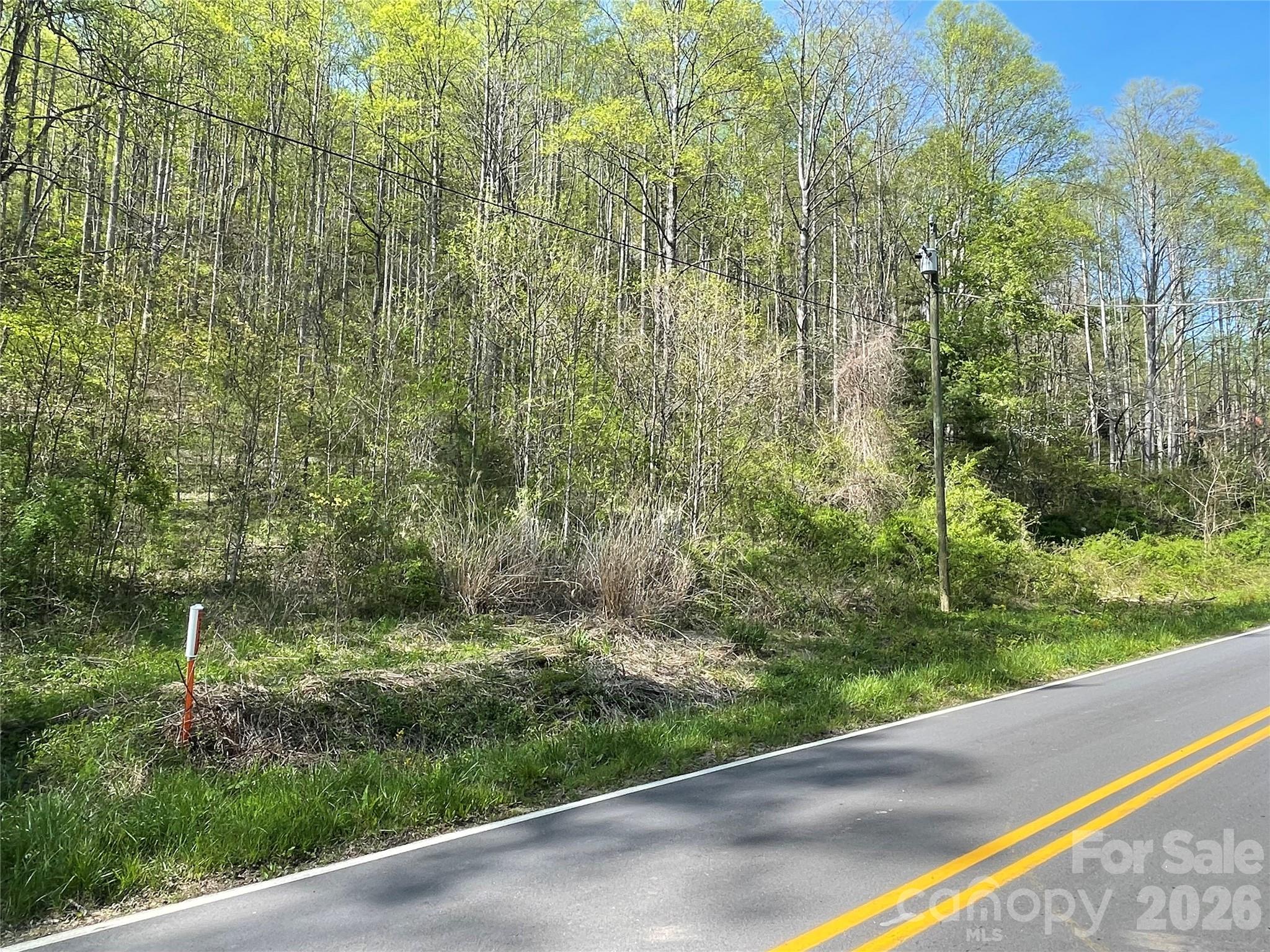 99999 Martins Creek Road, Barnardsville, NC, 28709