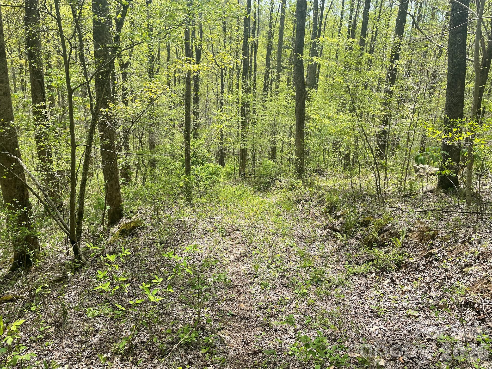 99999 Martins Creek Road