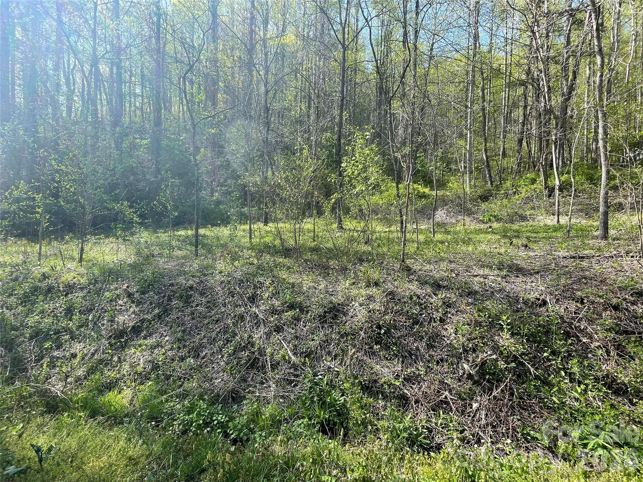 99999 Martins Creek Road
