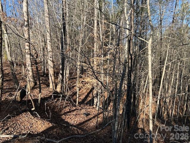 Pleasant View - Land