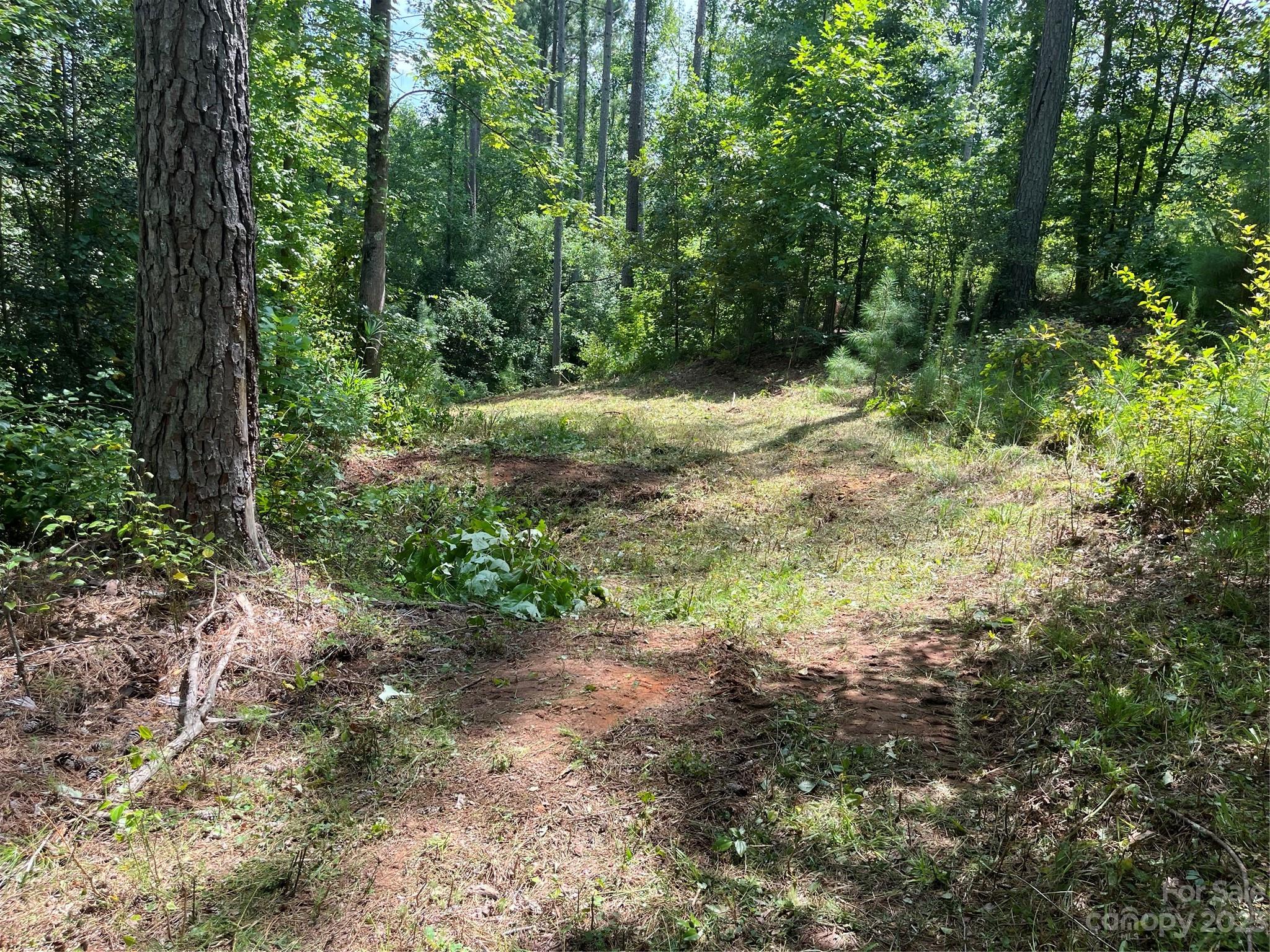 The Waterfront Club - Land