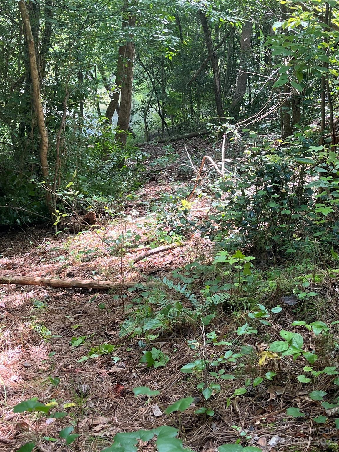 The Waterfront Club - Land