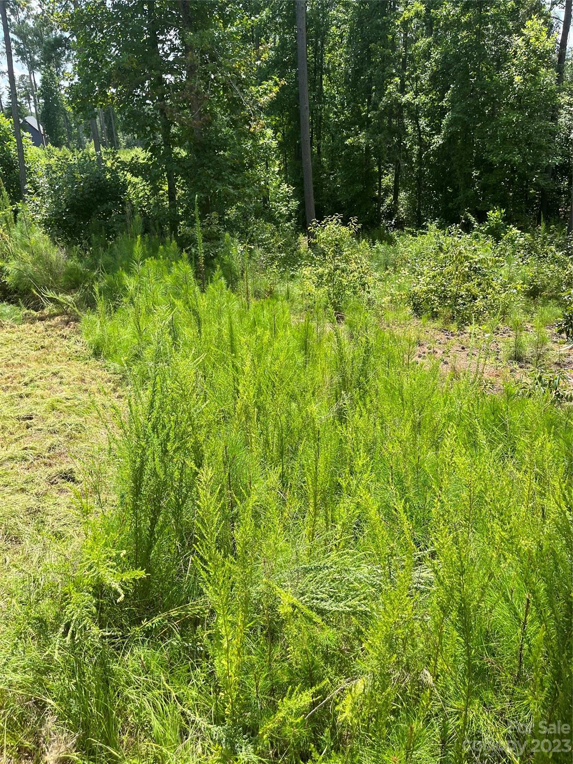 The Waterfront Club - Land