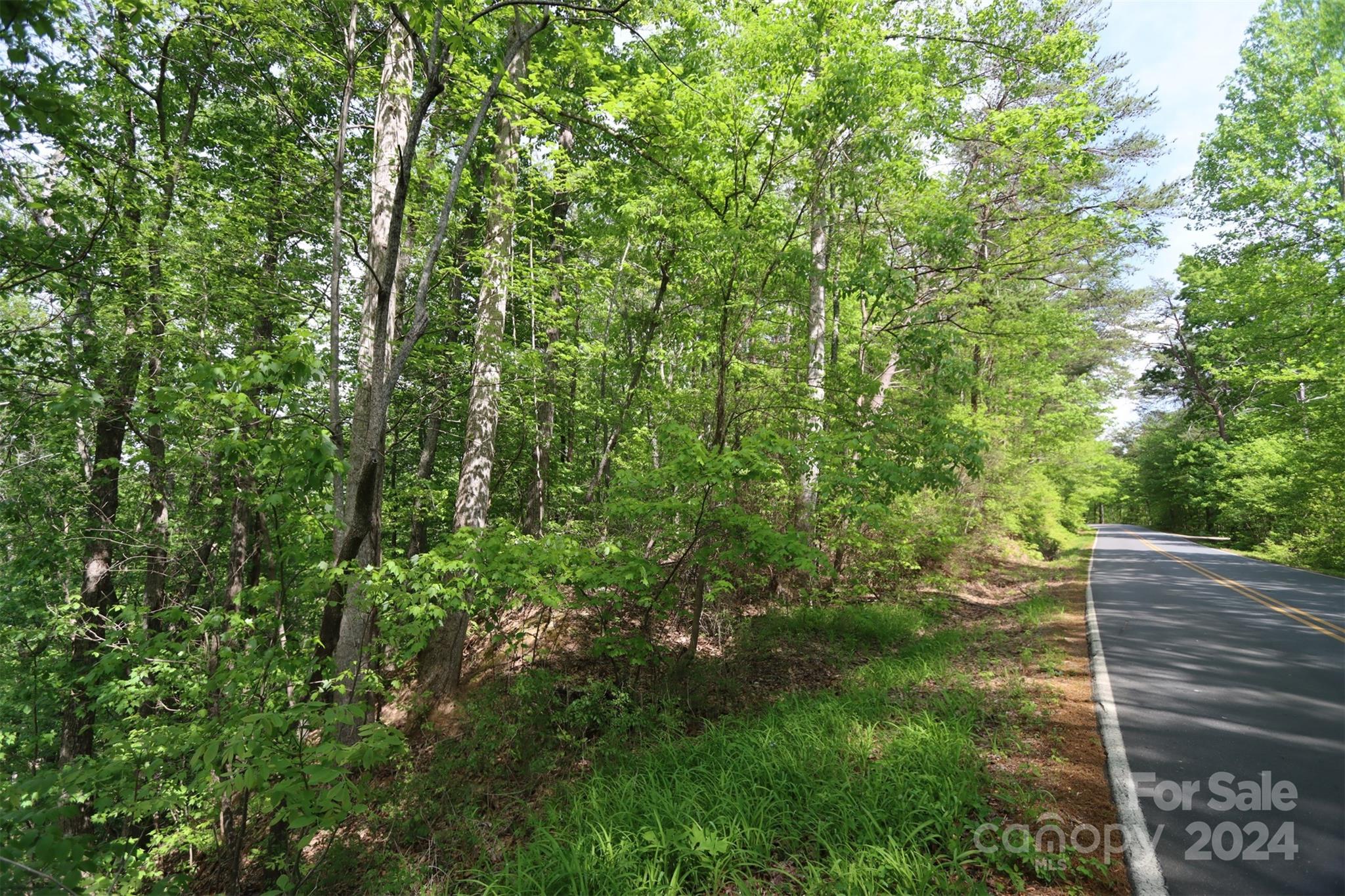 00 Buffalo Shoals Road