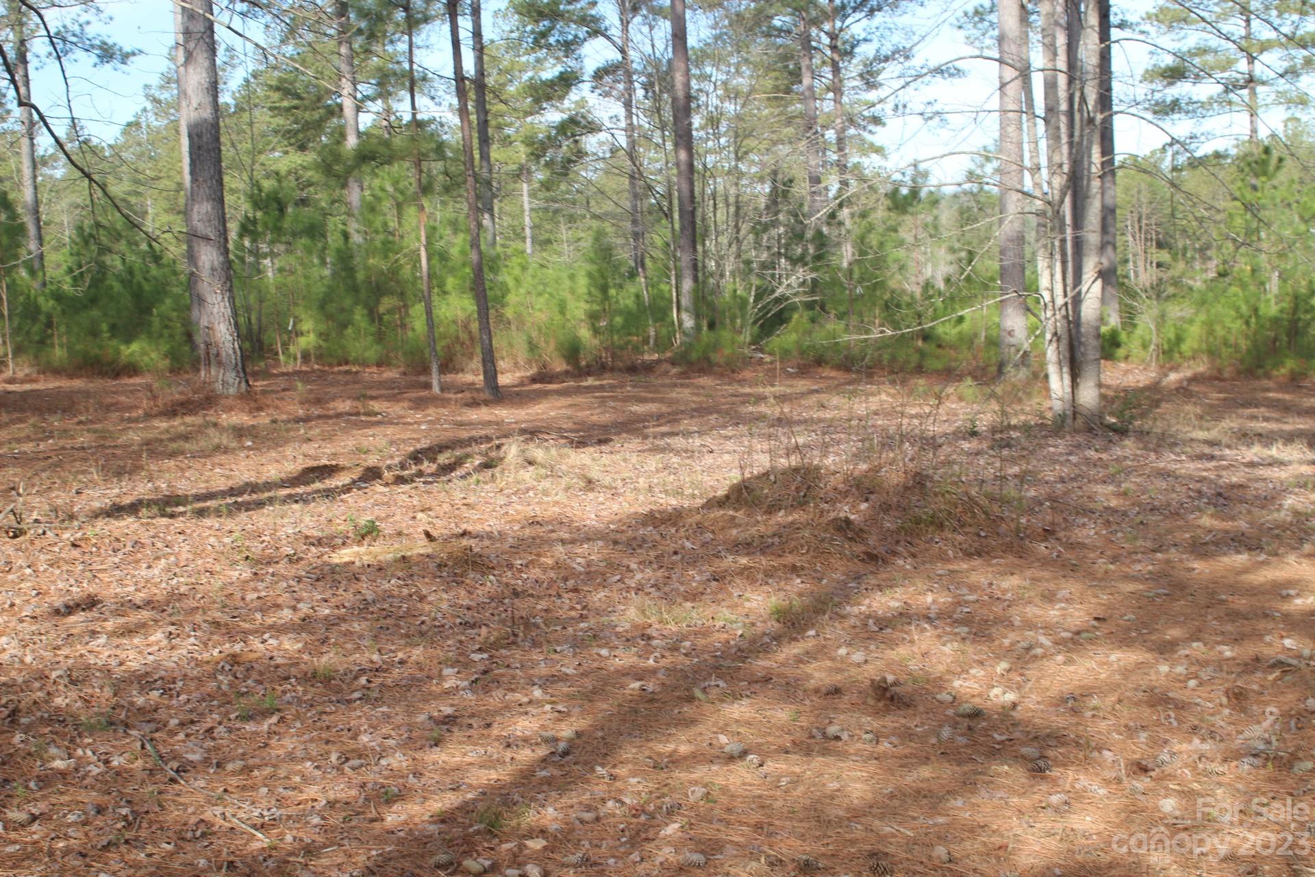 The Waterfront Club - Land