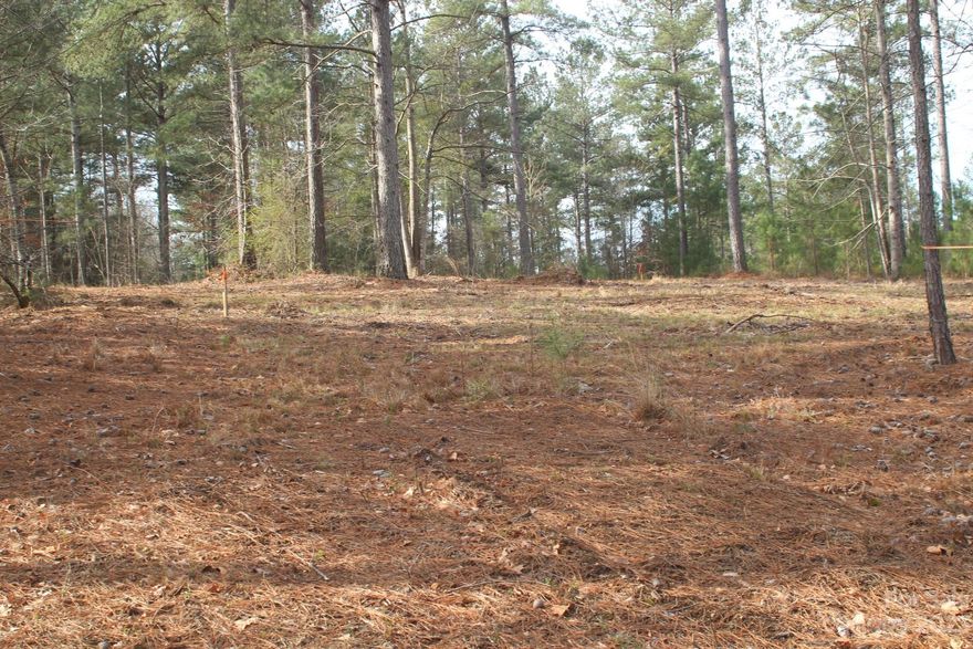 This listing boasts a SEPTIC PERMIT in place and is for a premium lot located in The Waterfront Club. Residents of this private gated community have access to a swimming pool and three community lake access points, including a sandy beach perfect for swimming or launching kayaks and paddleboards. Fishing and swimming are also available at the community's floating dock. The location in Caldwell County offers low property taxes and easy access to shopping, dining, and medical facilities. Plus, it's only a one-hour drive to Asheville or Charlotte Douglas International Airport. Lake Rhodhiss is an outdoor enthusiast's dream, offering endless opportunities for fishing, boating, water skiing, wakeboarding, paddleboarding, kayaking, canoeing, or simply relaxing on the community dock and taking in the breathtaking views of the glistening water.