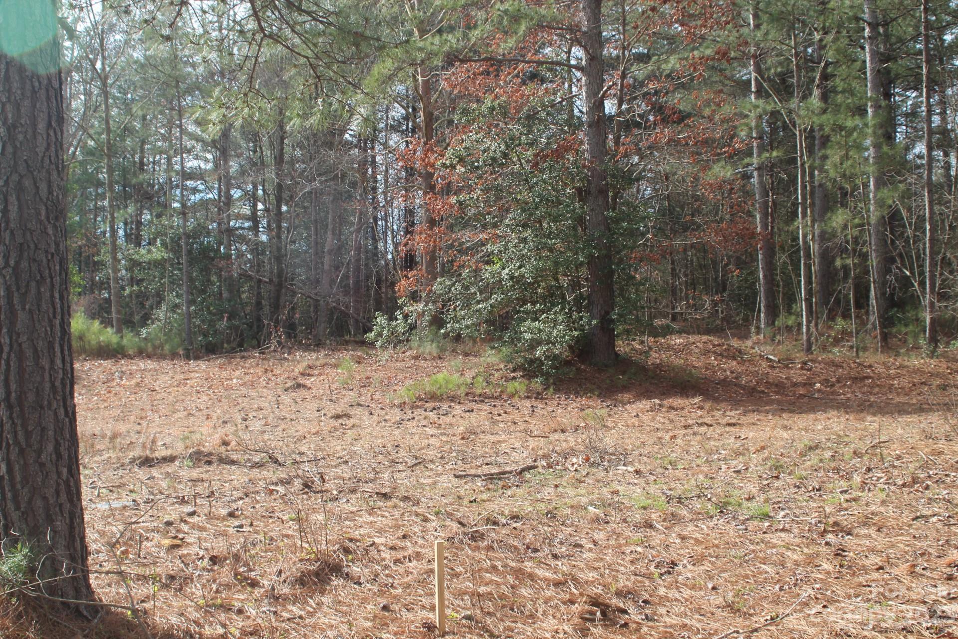 The Waterfront Club - Land