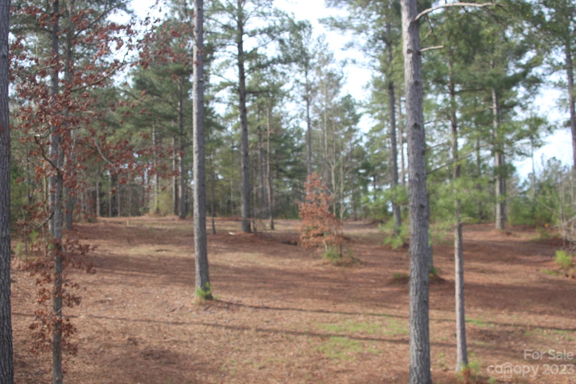 The Waterfront Club - Land