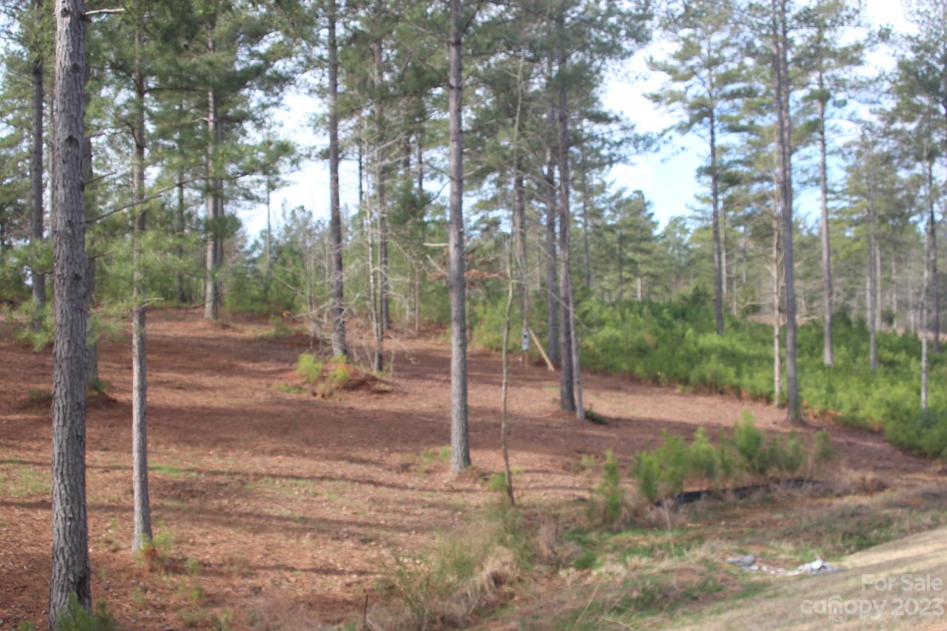 The Waterfront Club - Land