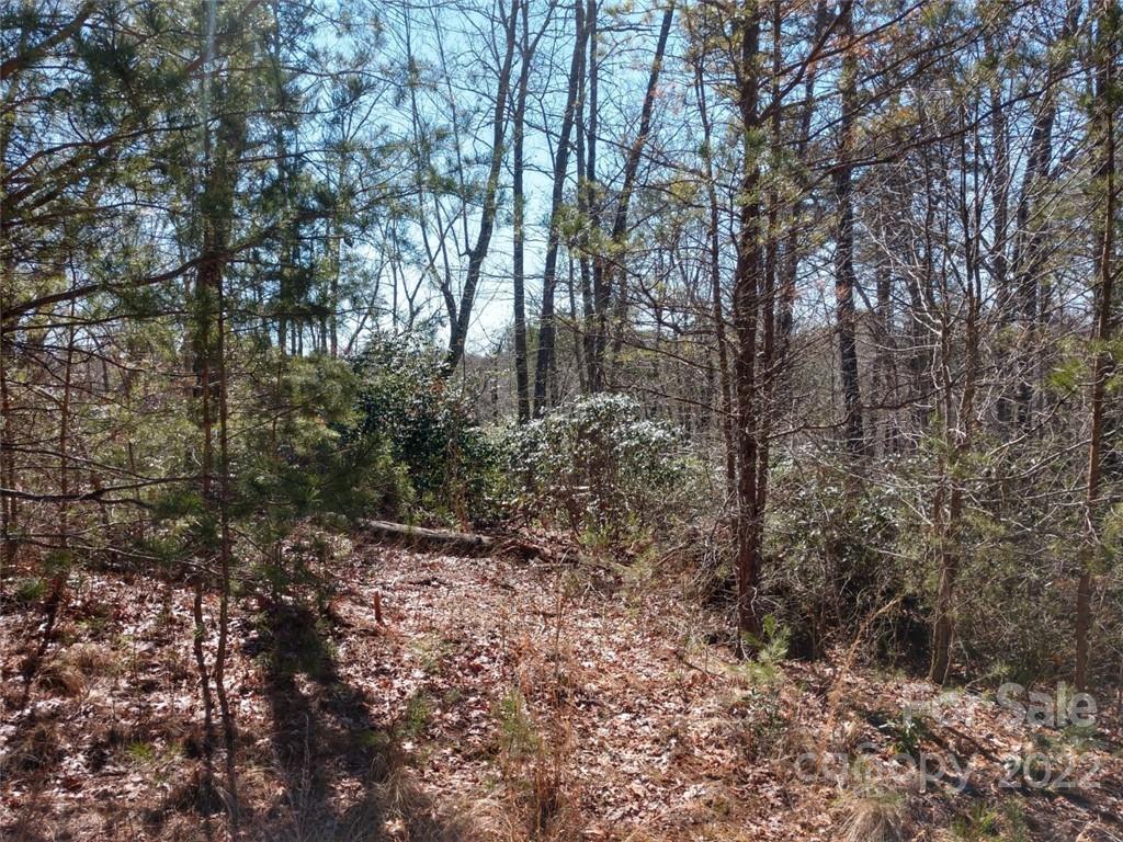 Lakewood - Land