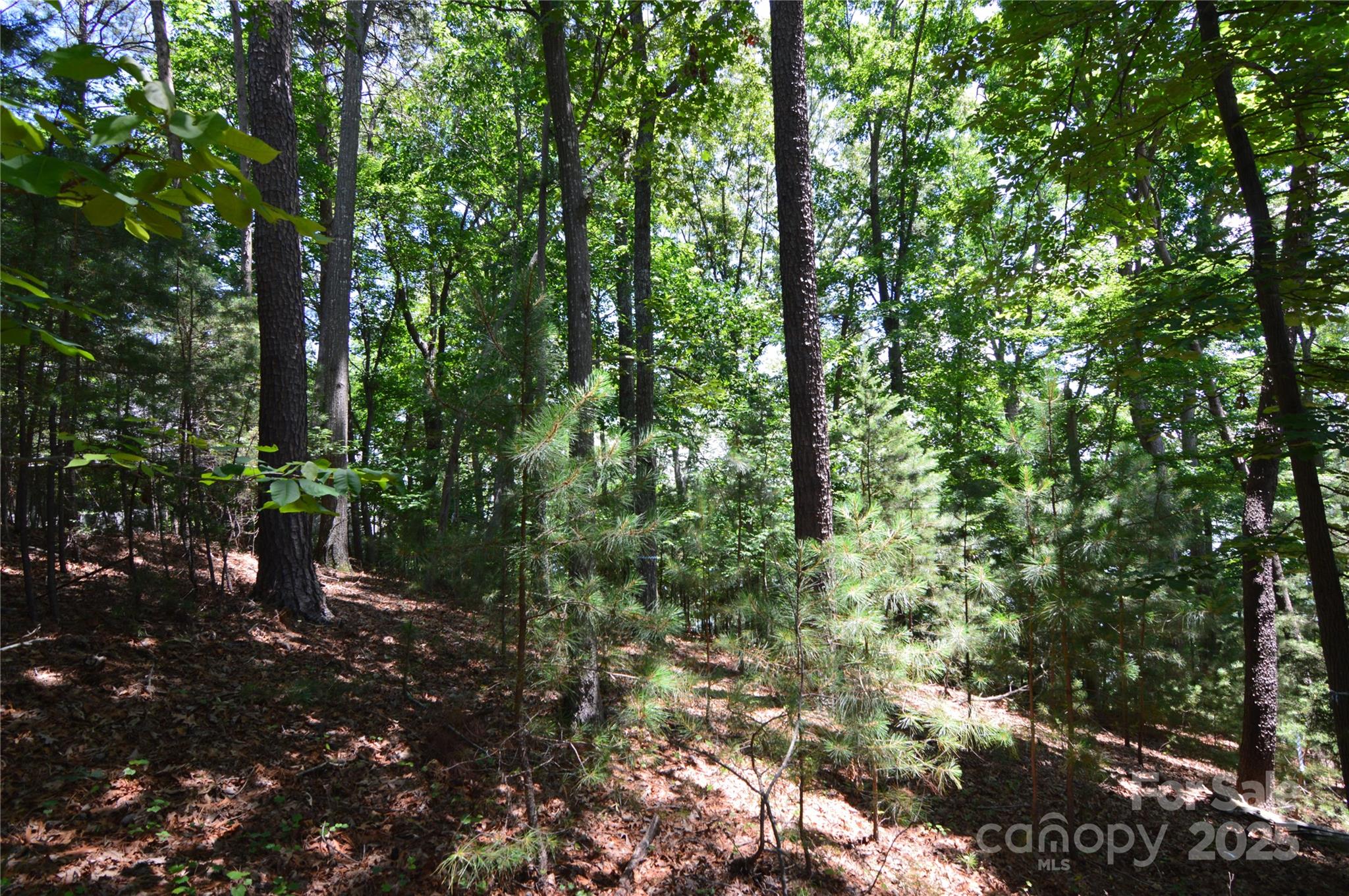 Reflection Pointe - Land