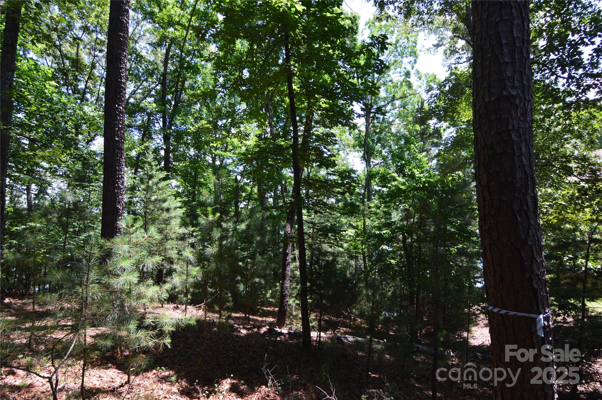 Reflection Pointe - Land