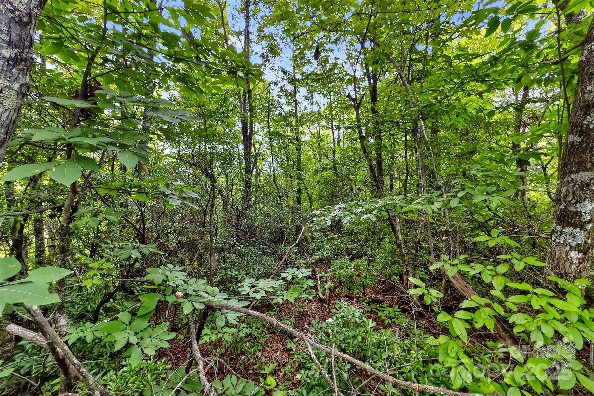 Catawba Falls Preserve - Land