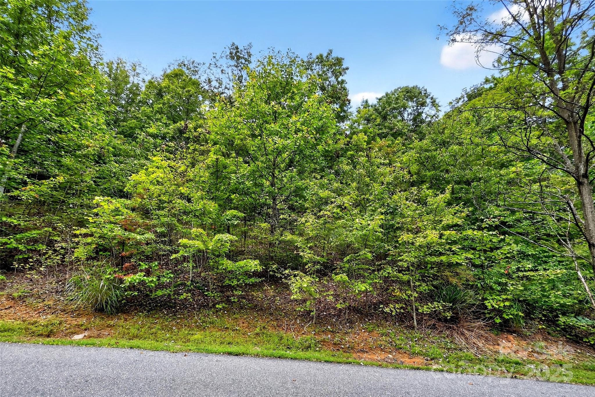 Catawba Falls Preserve - Land