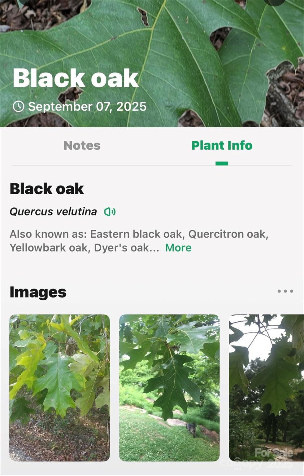 Catawba Falls Preserve - Land