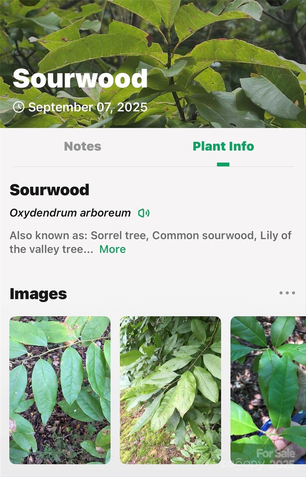 Catawba Falls Preserve - Land