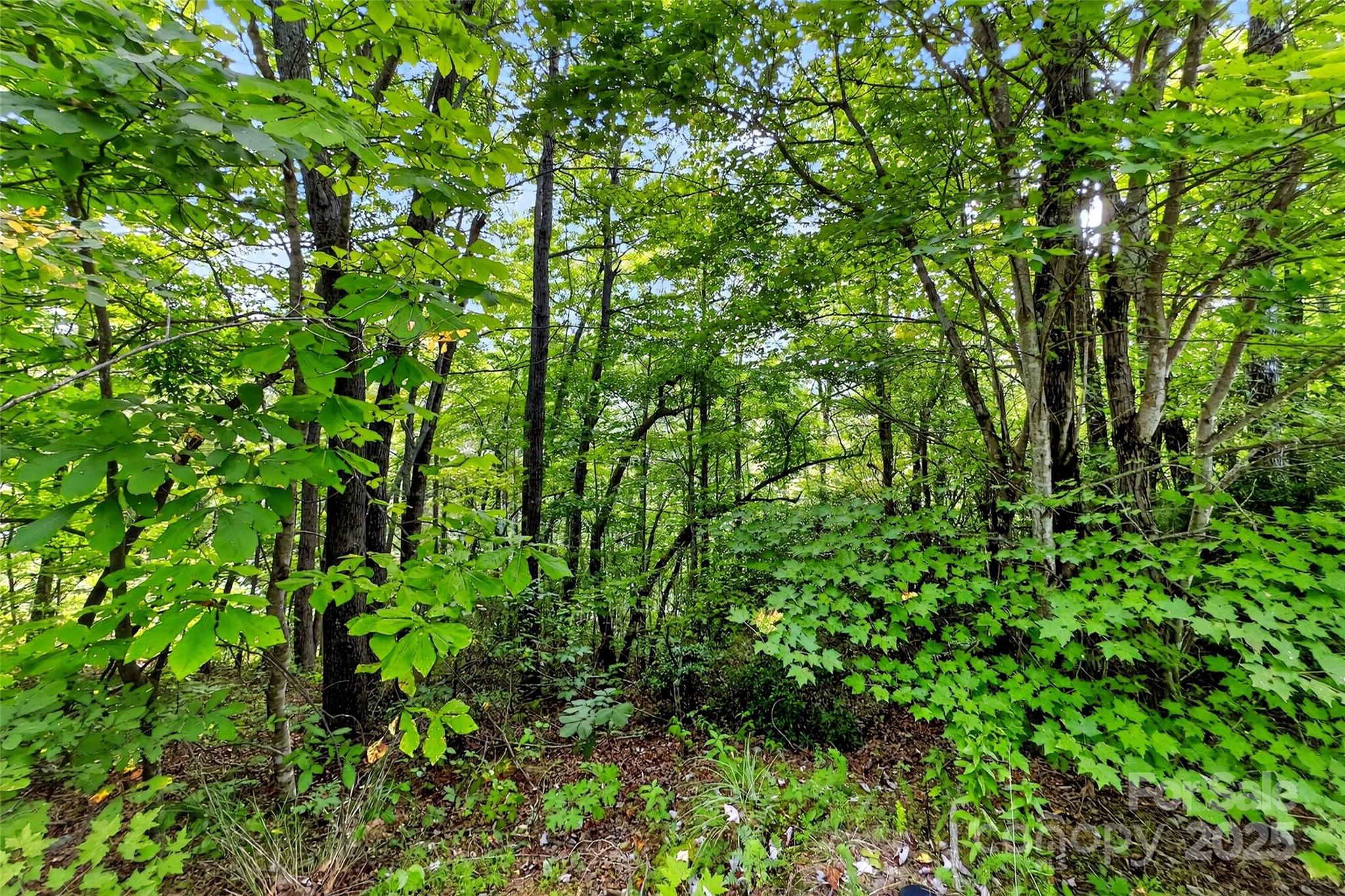 Catawba Falls Preserve - Land