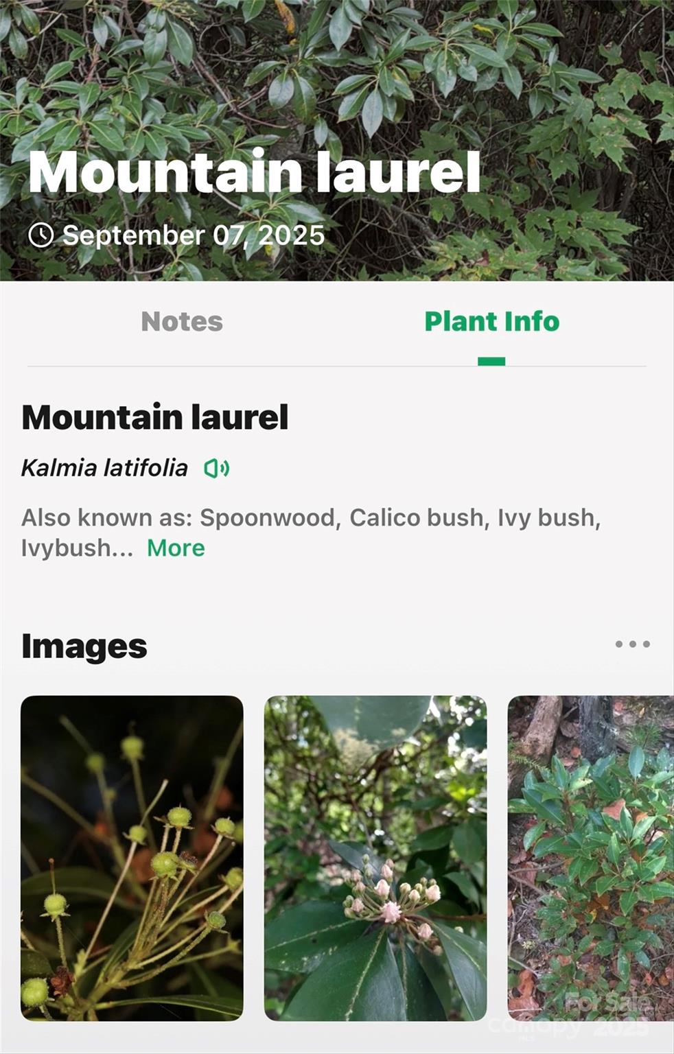 Catawba Falls Preserve - Land