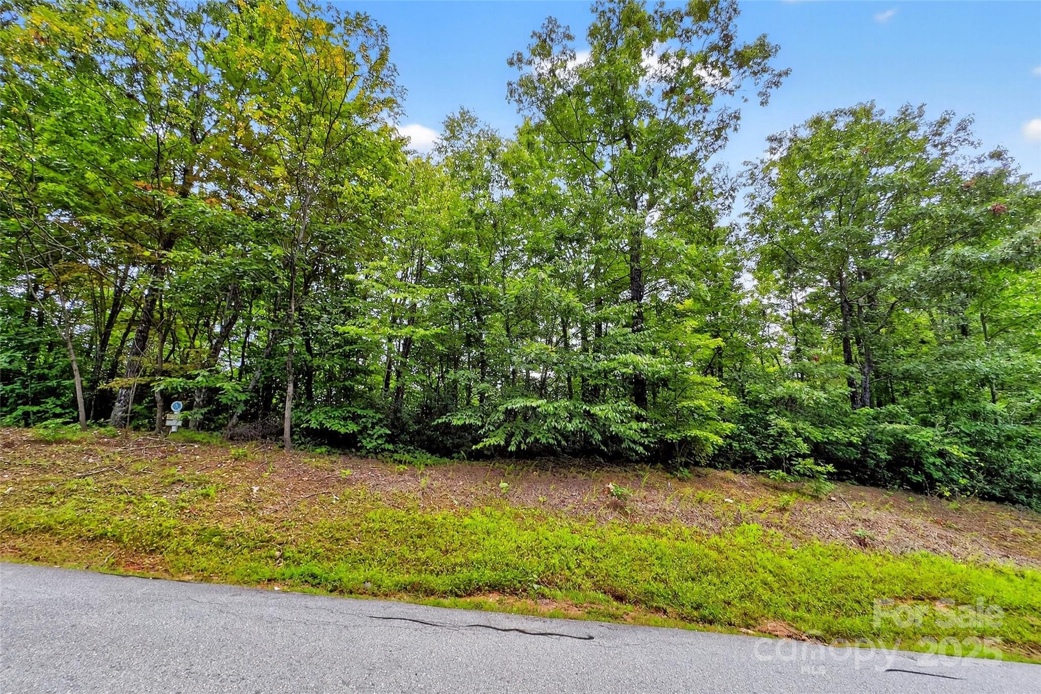 1696 Catawba Falls Parkway 190