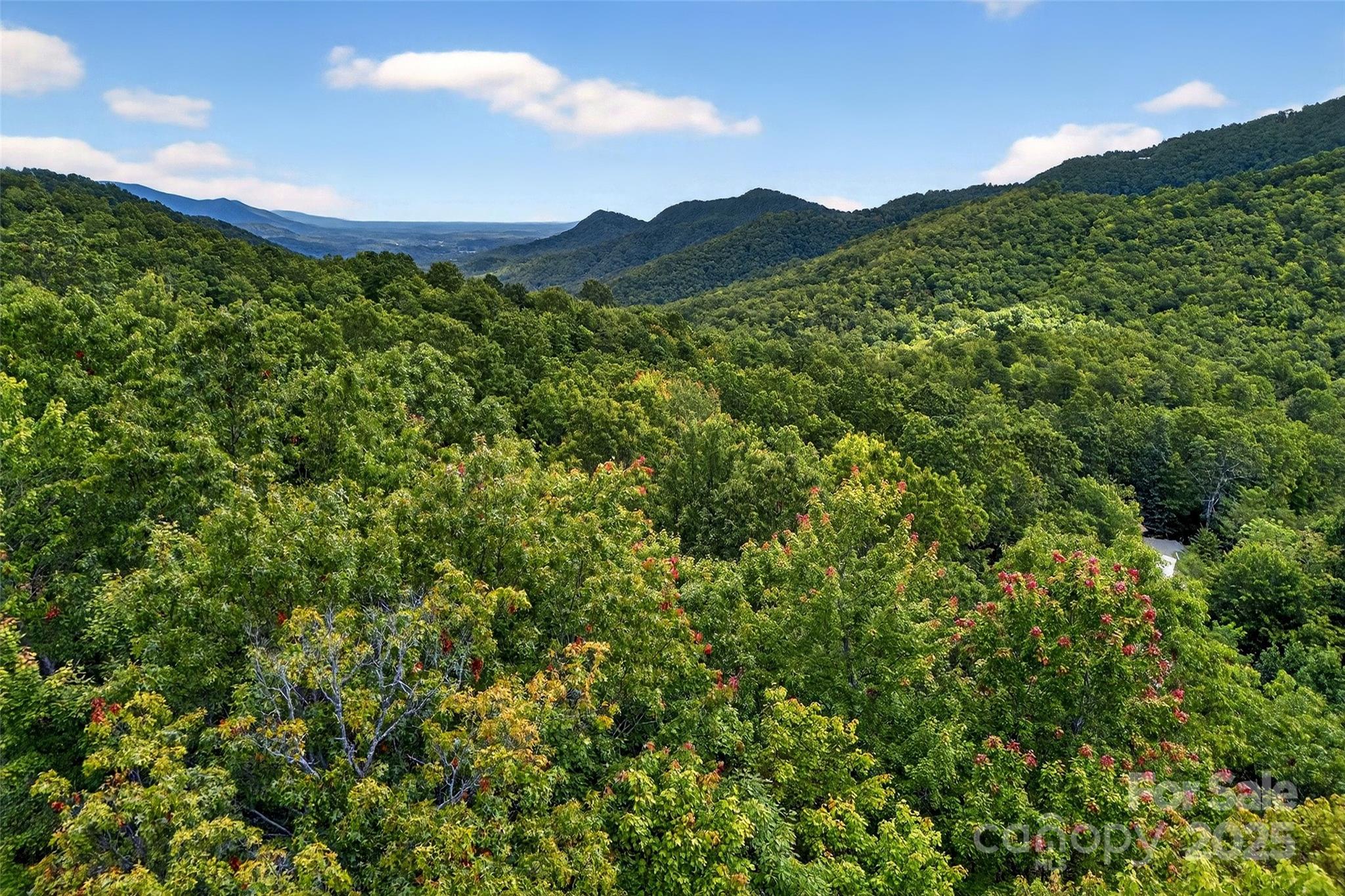 Catawba Falls Preserve - Land
