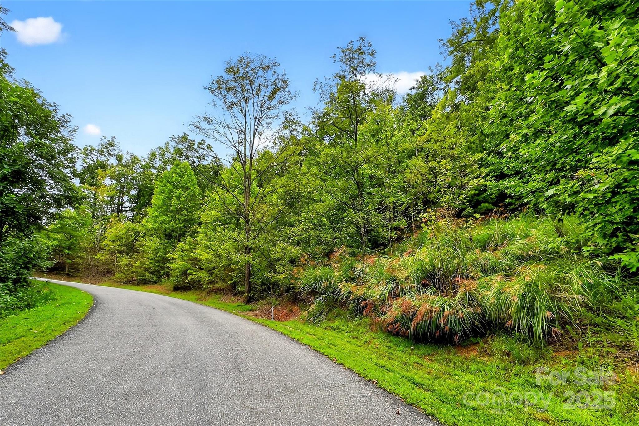 1696 Catawba Falls Parkway 190