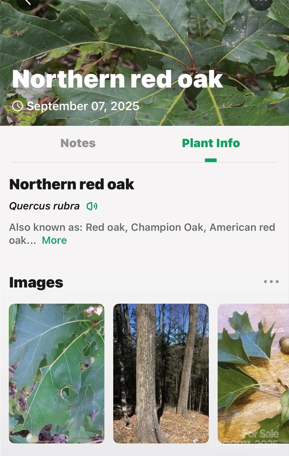 Catawba Falls Preserve - Land