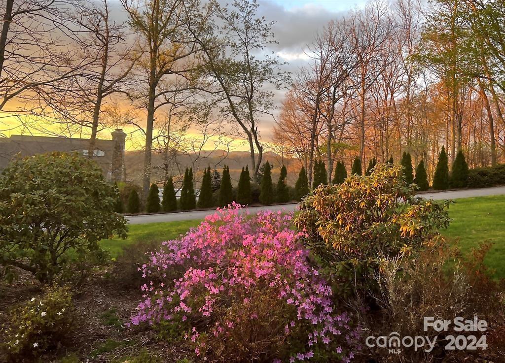 Mountain Meadows - Residential