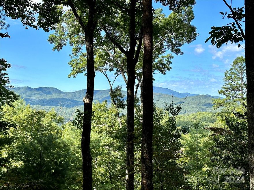 Are you looking for your personal sanctuary with long-range mountain & sunset views? This stunning, private location will not disappoint! You can build your safe-haven in the amazing conservation community of French Broad Crossing! Located in WNC, this very quiet & peaceful site will enable you to enjoy nature's beauty & take in the fresh air. The topography of this lot offers a lovely easy-build homesite set in the woods, but with expansive views!. French Broad Crossing is a gated community with easy access to Asheville & amenities galore! Enjoy the River Lodge, Fitness Center, Pool, Hot Tub, River Park, Pavilions, & miles of walking/ATV trails! Relax & watch the sunset from the River Lodge, gather with family & friends by the fire, participate in social activities, or absorb nature on the trails. This is THE place to check out of the daily hustle & bustle & take a deep breath! The serenity & peacefulness of the community is profound. Fiber Optic cable has been wired throughout the neighborhood. FBC has a designated medical helicopter landing zone.