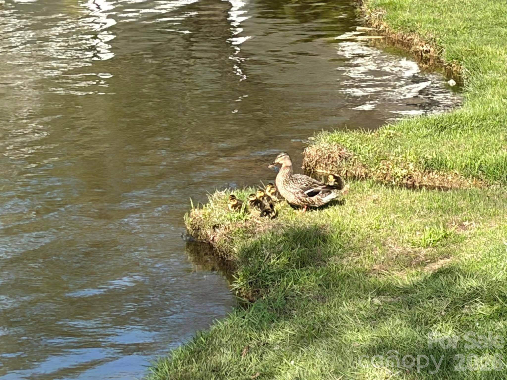 Laurel Park - Residential