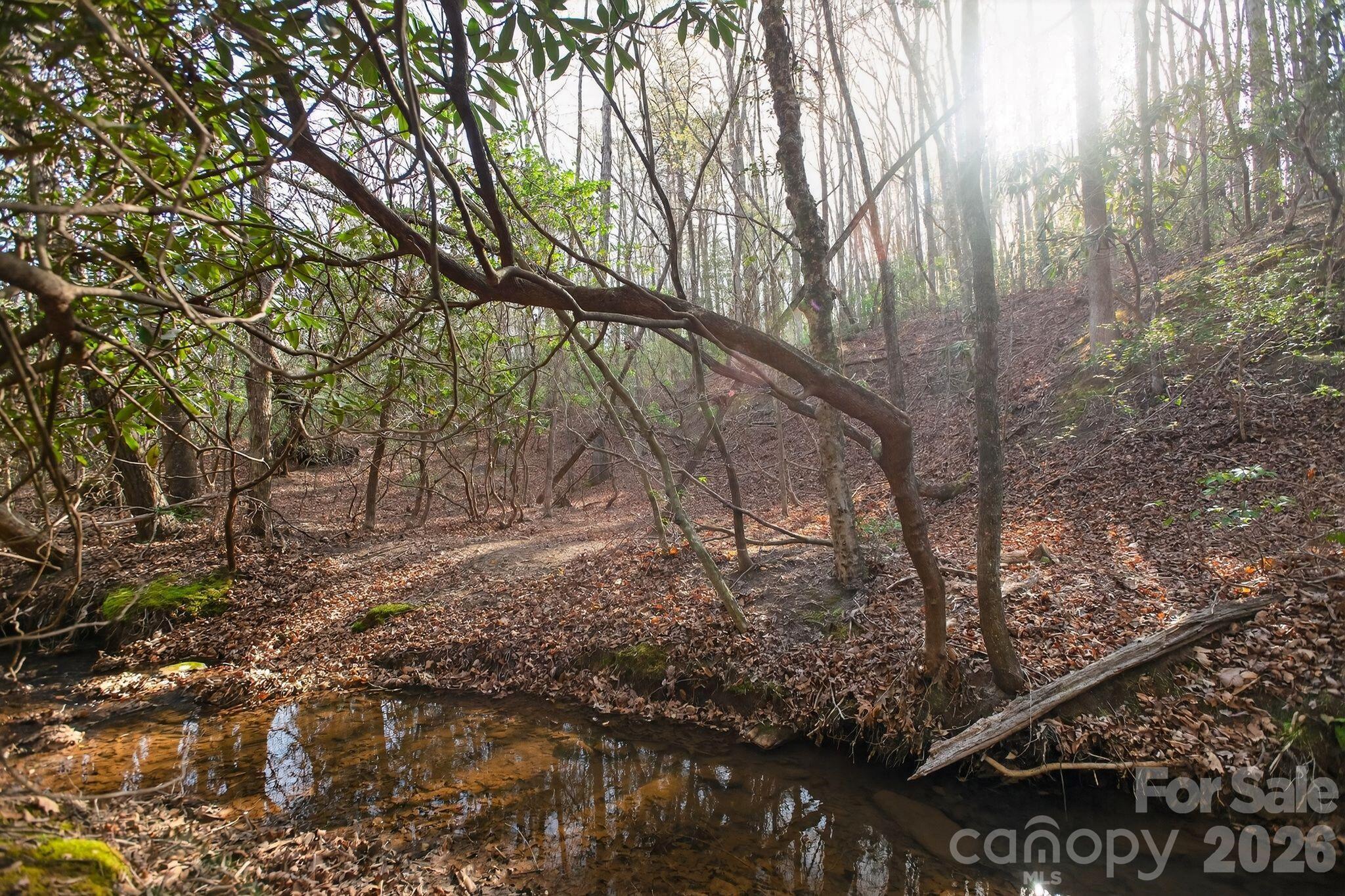 Blackberry Creek - Land
