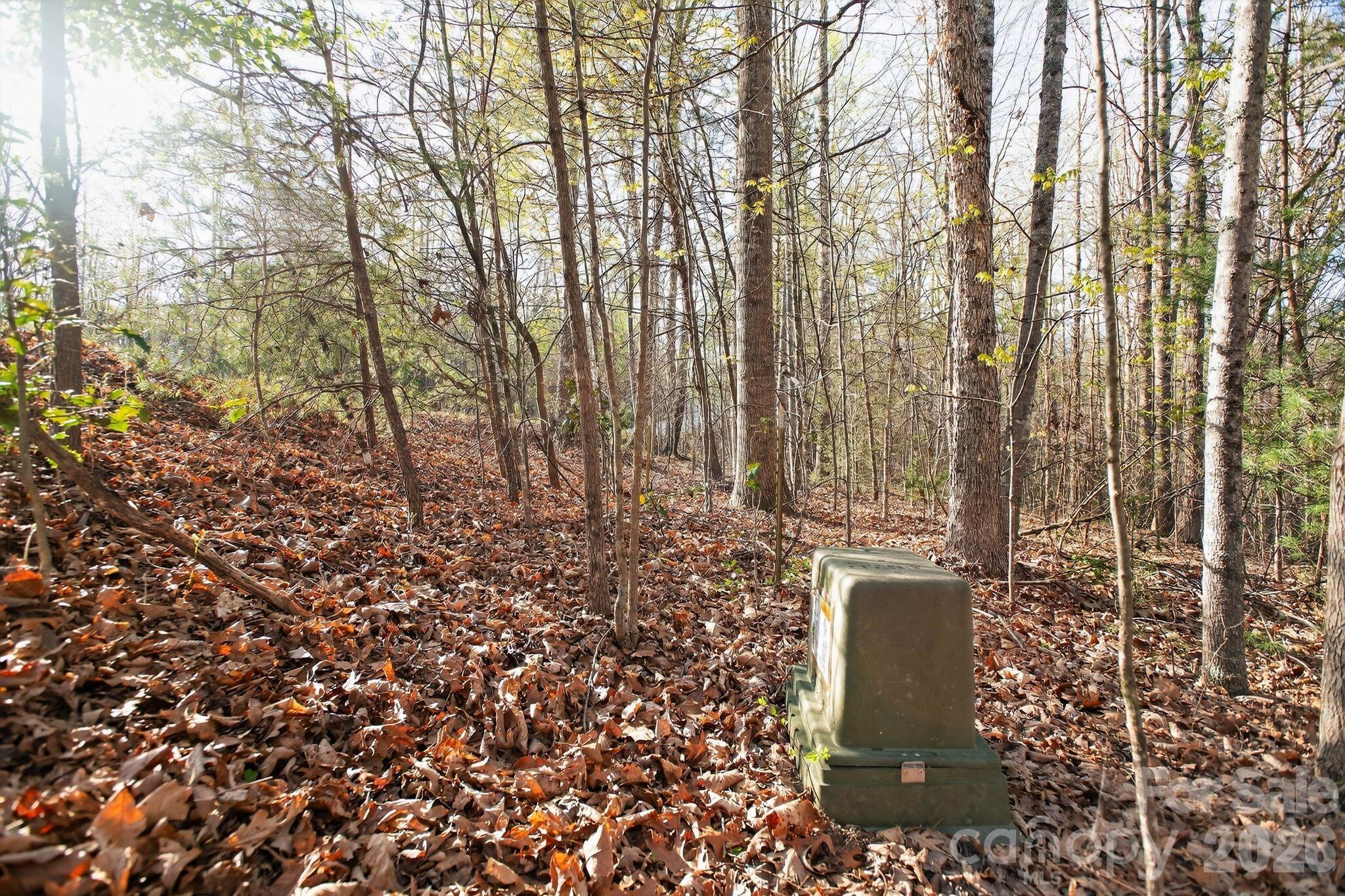 Blackberry Creek - Land