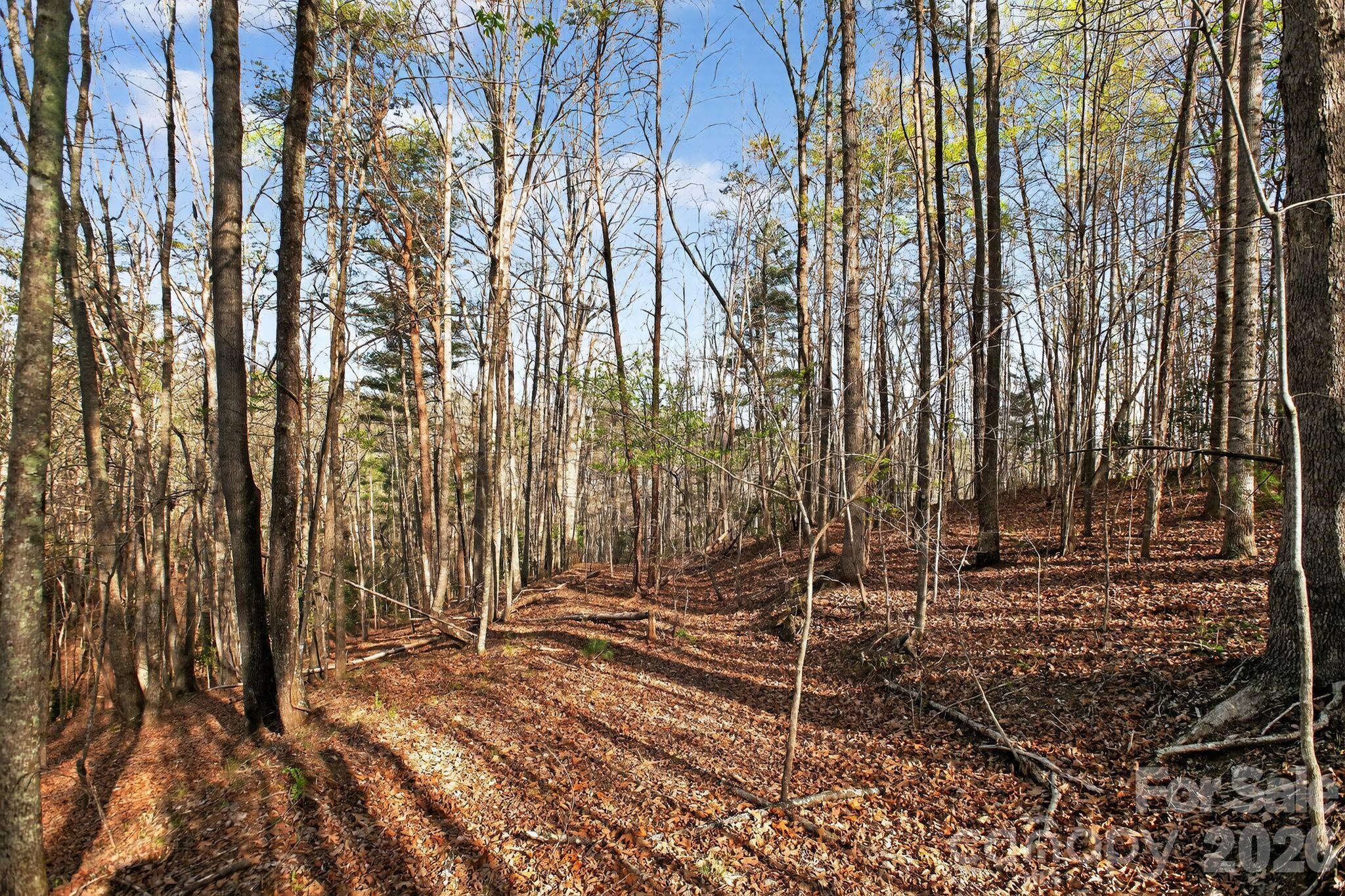 Blackberry Creek - Land