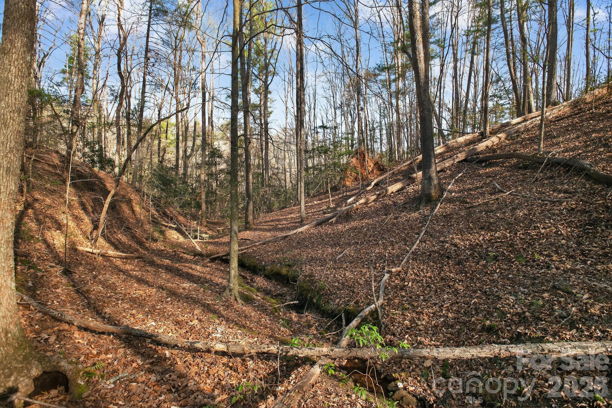 Blackberry Creek - Land