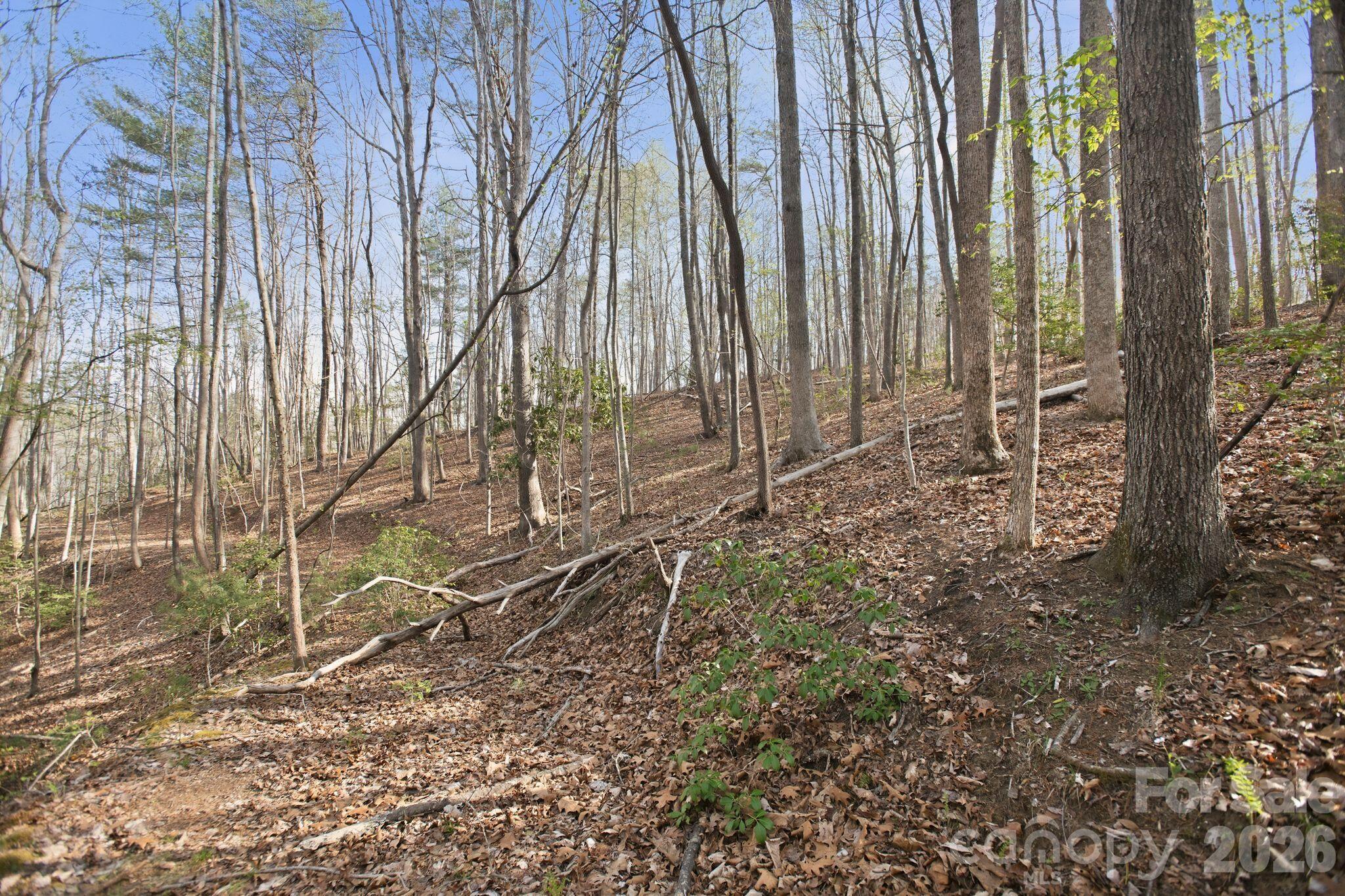 Blackberry Creek - Land