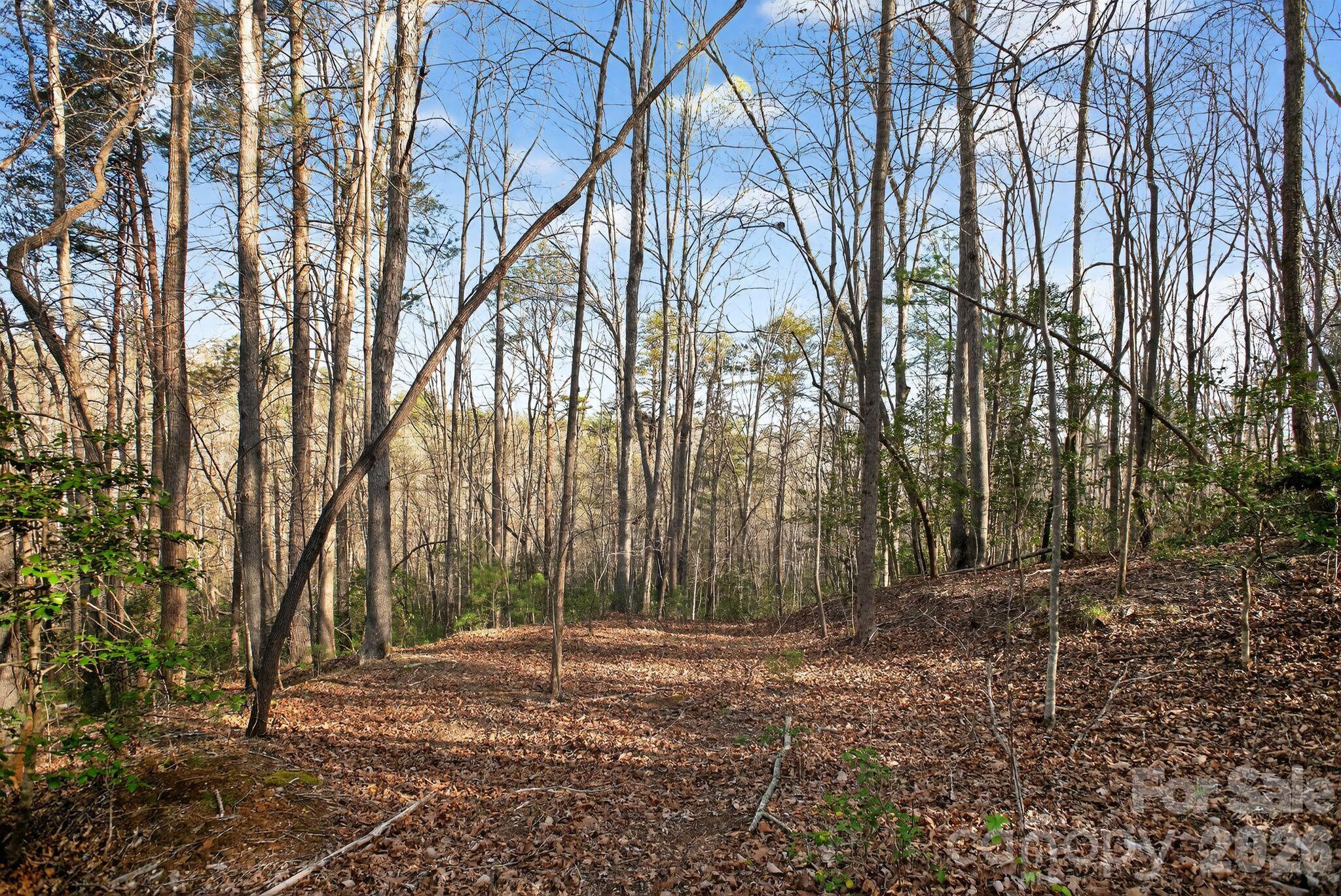 Blackberry Creek - Land