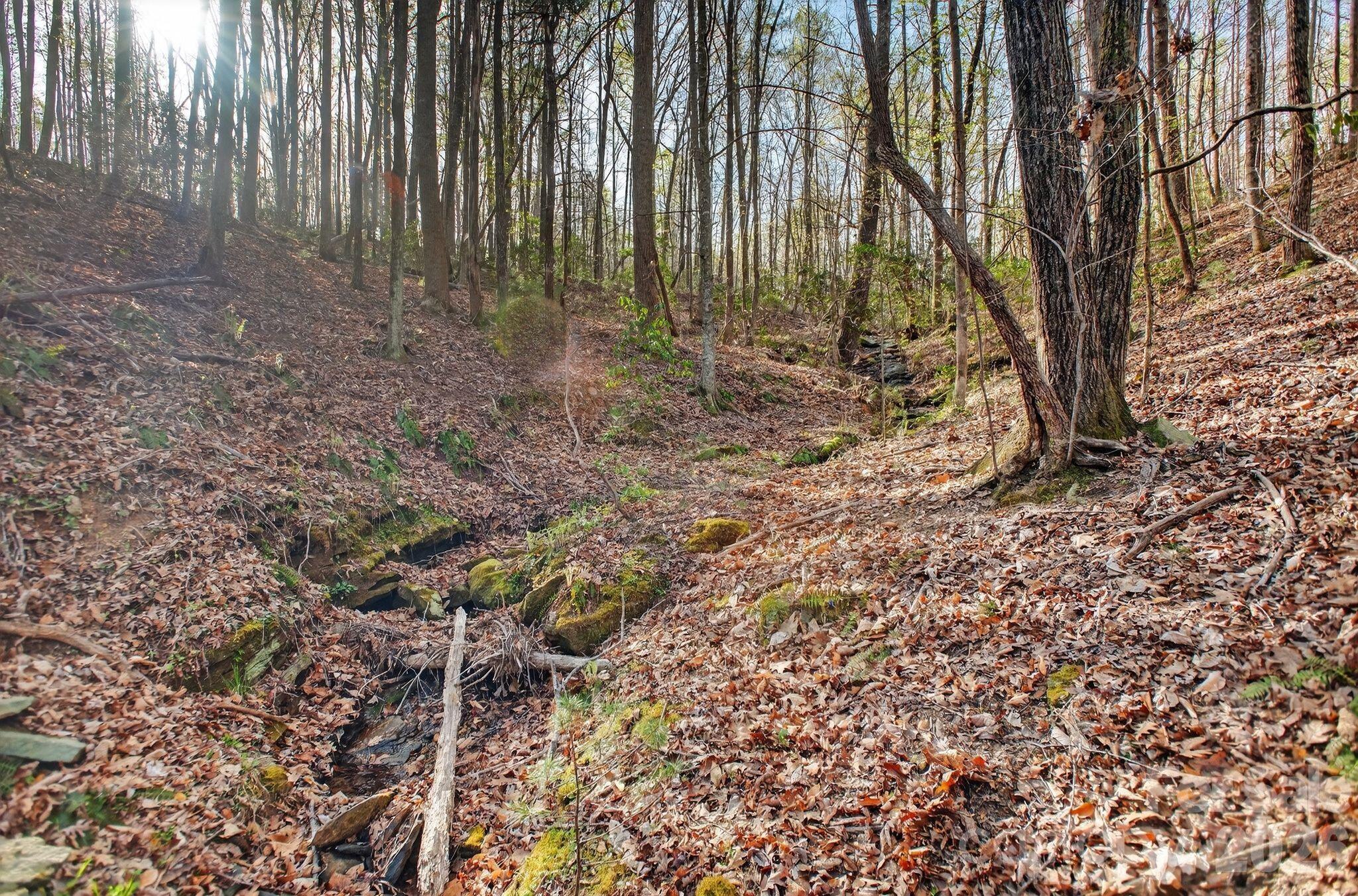 Blackberry Creek - Land