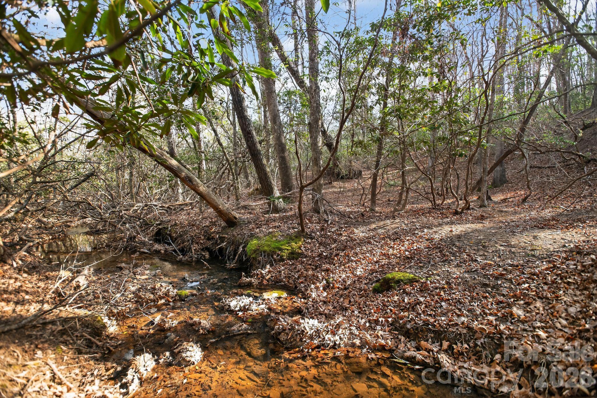 Blackberry Creek - Land