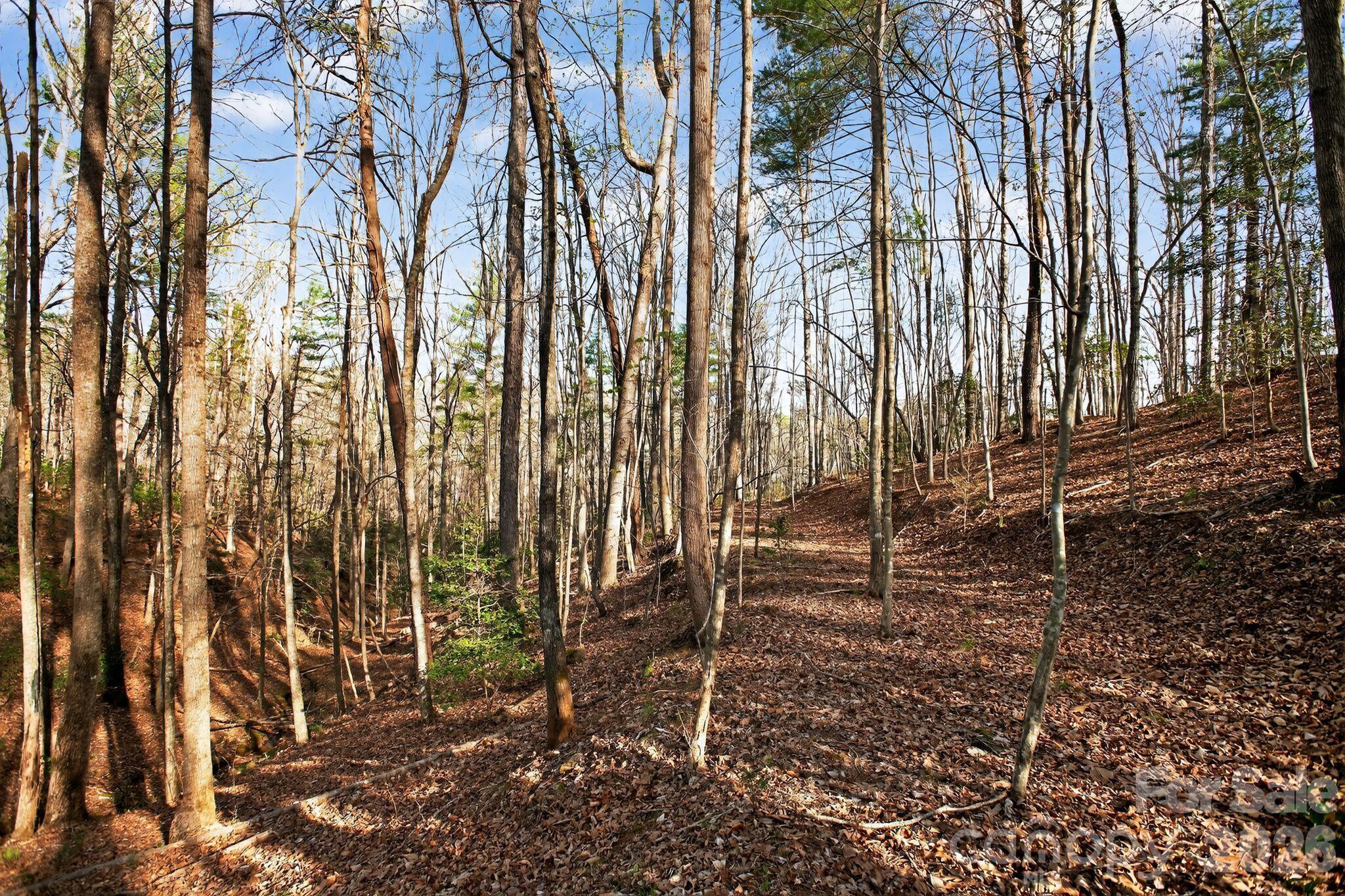 Lot 62 Dirksen Avenue