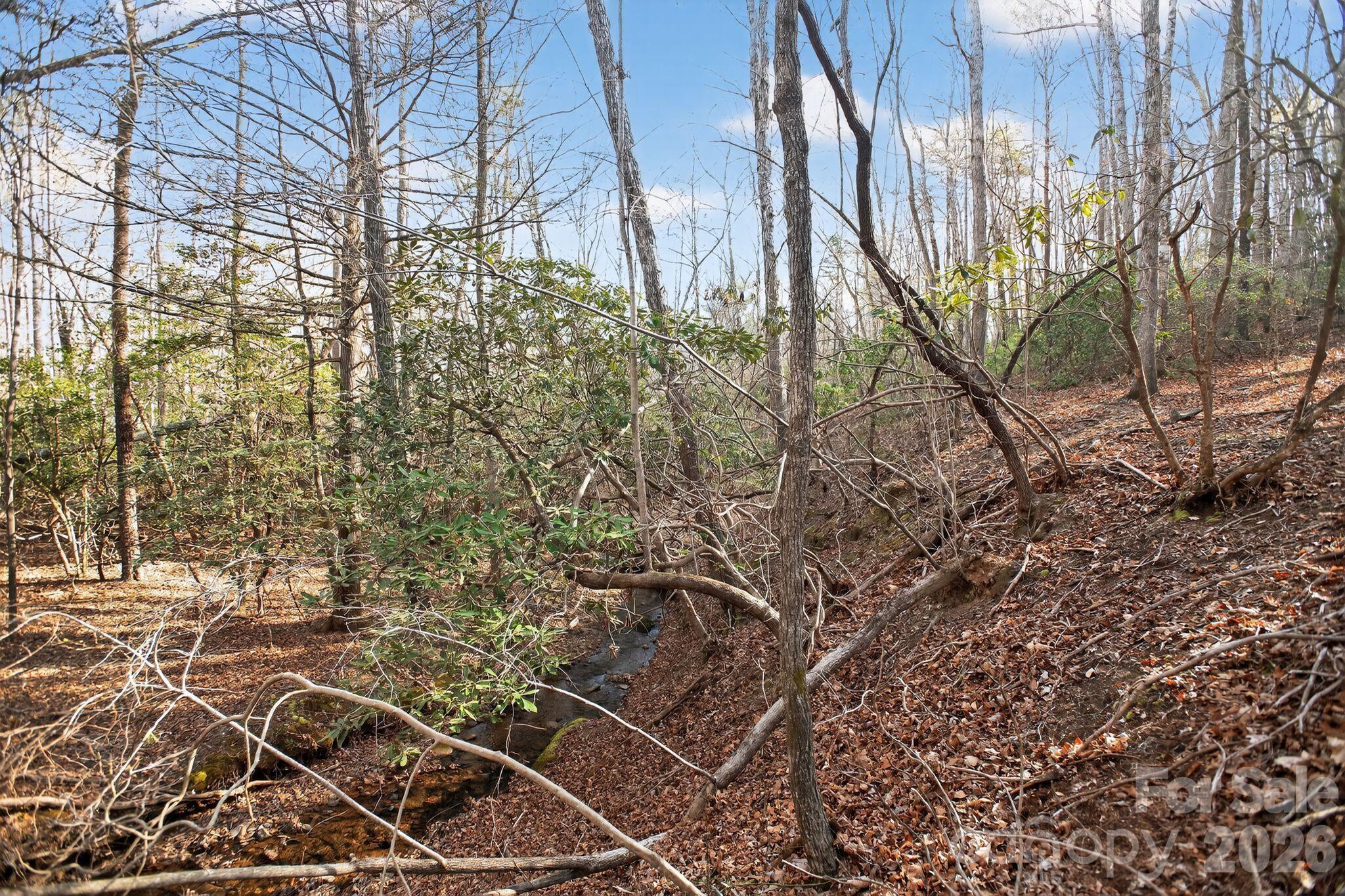 Blackberry Creek - Land