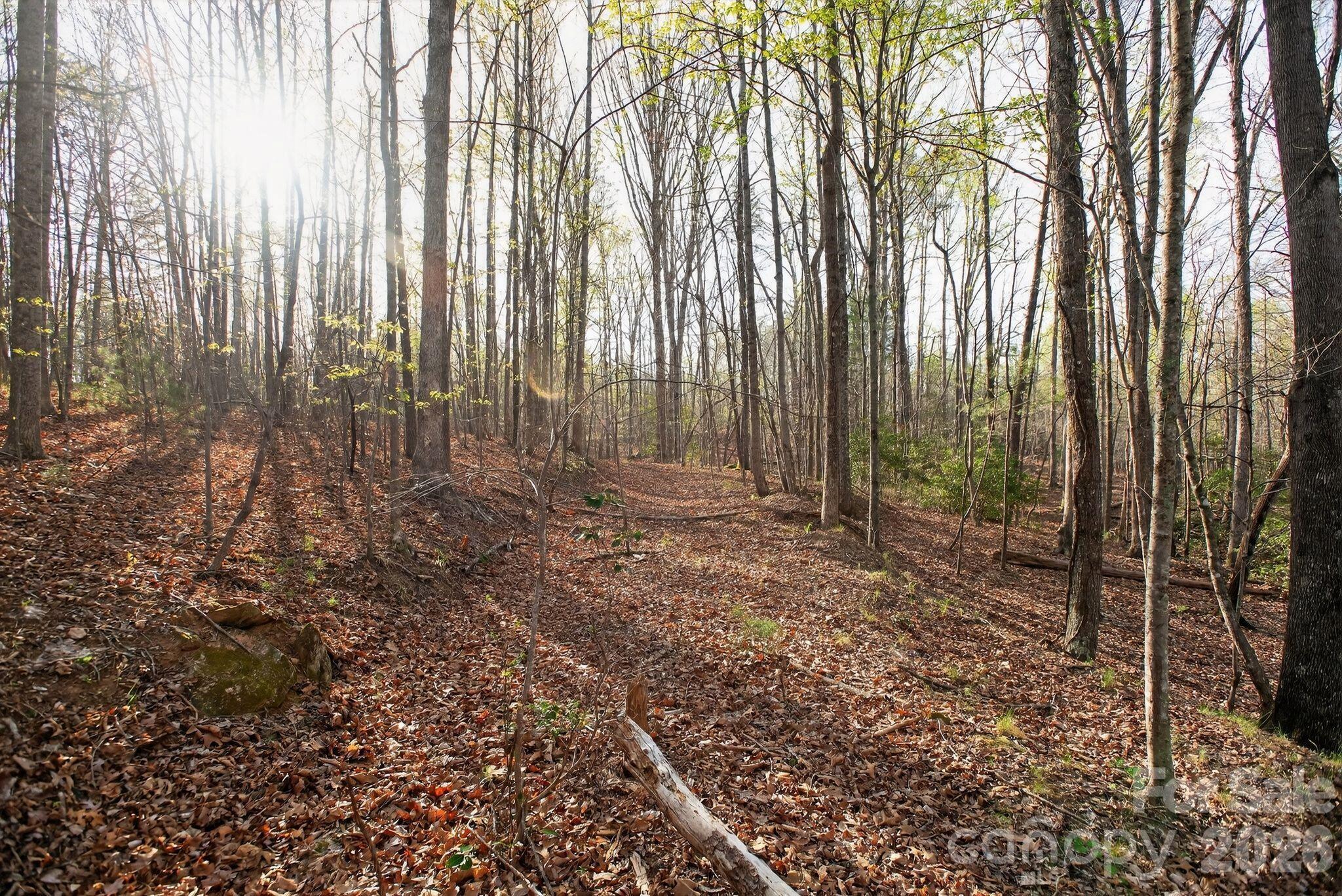Blackberry Creek - Land