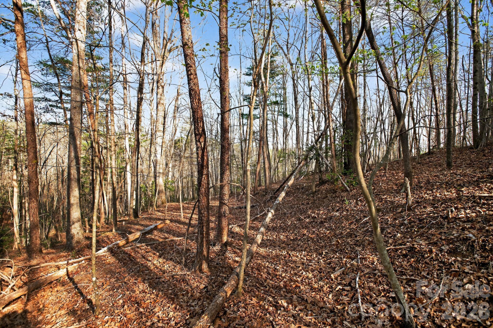 Blackberry Creek - Land