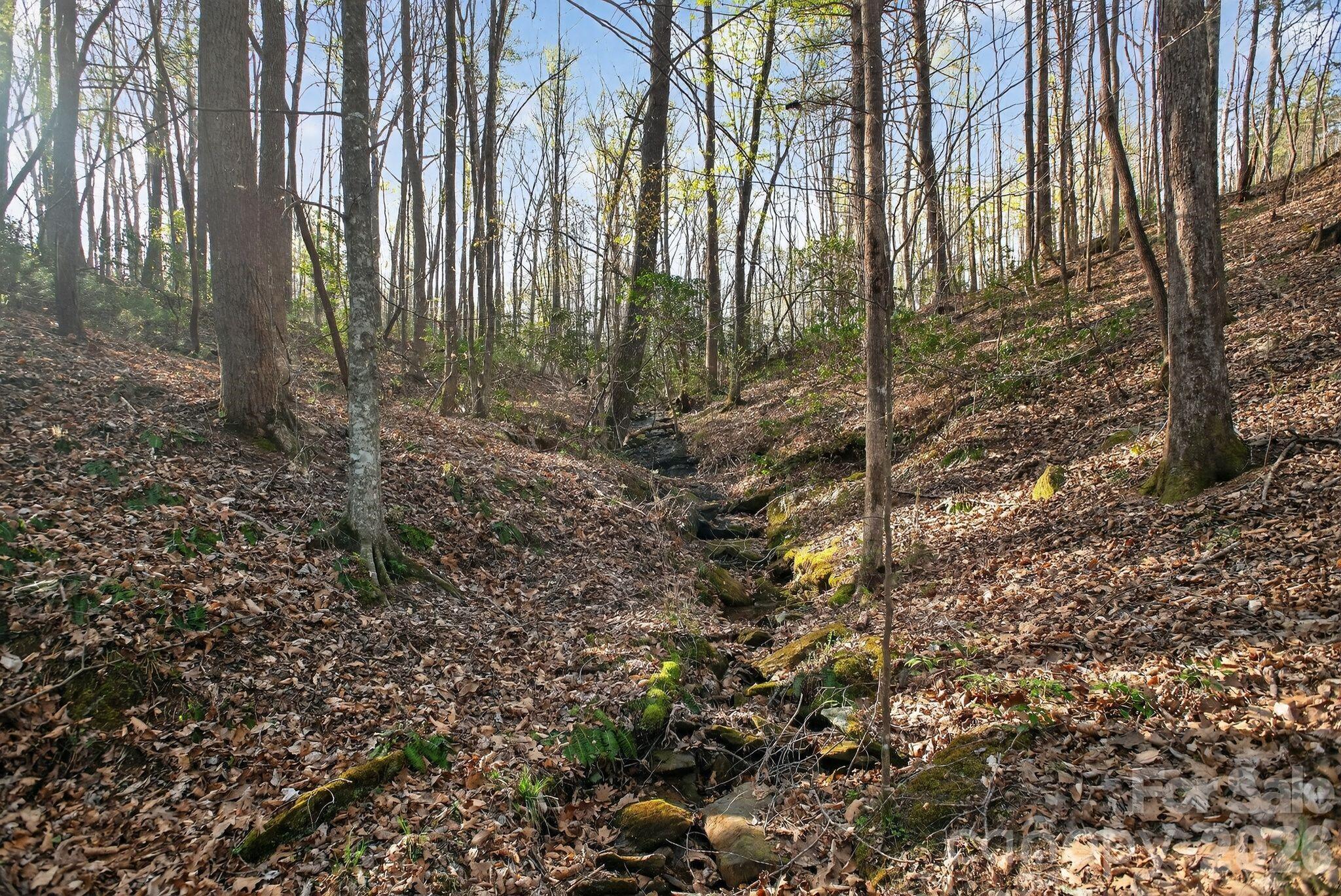 Blackberry Creek - Land