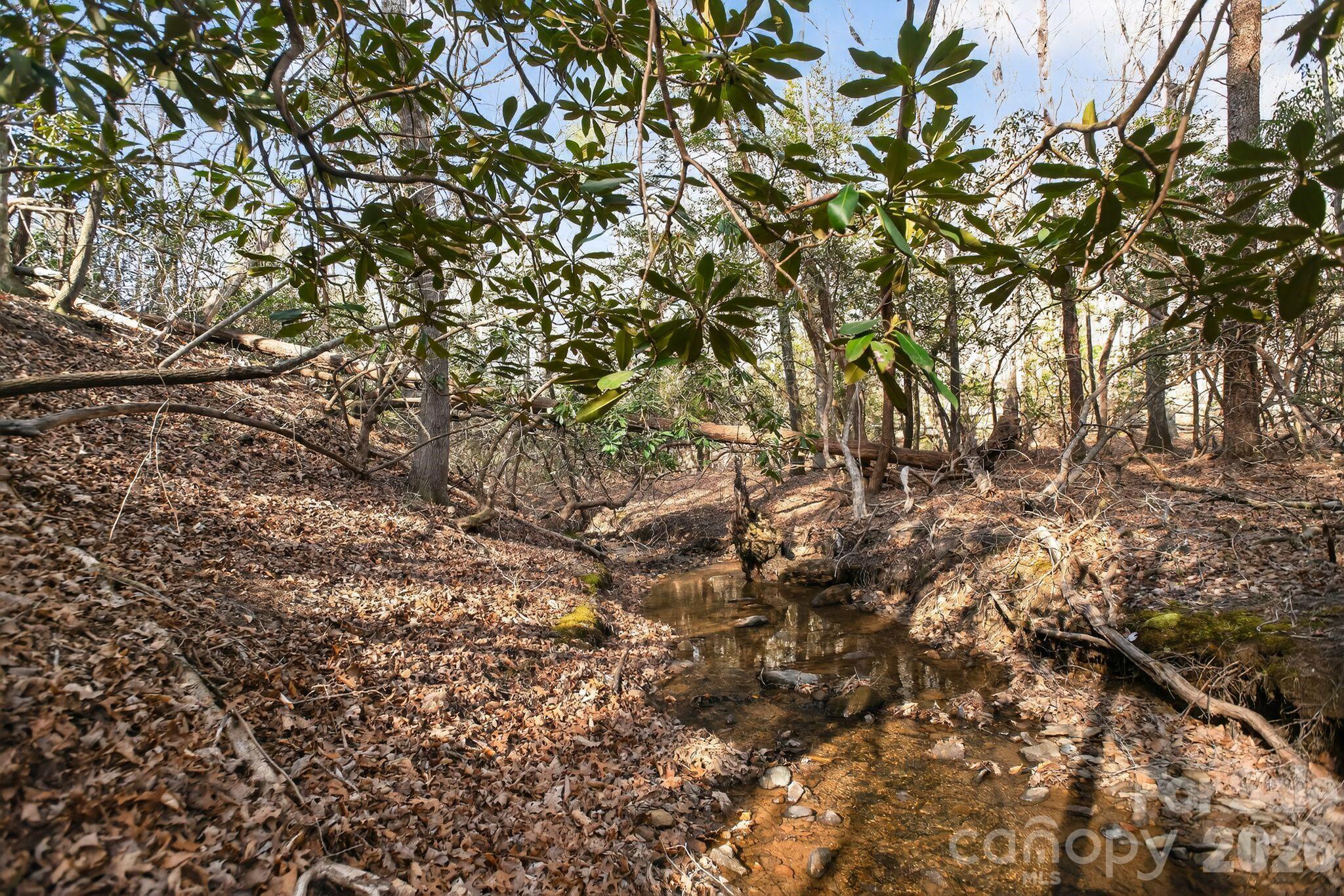 Blackberry Creek - Land
