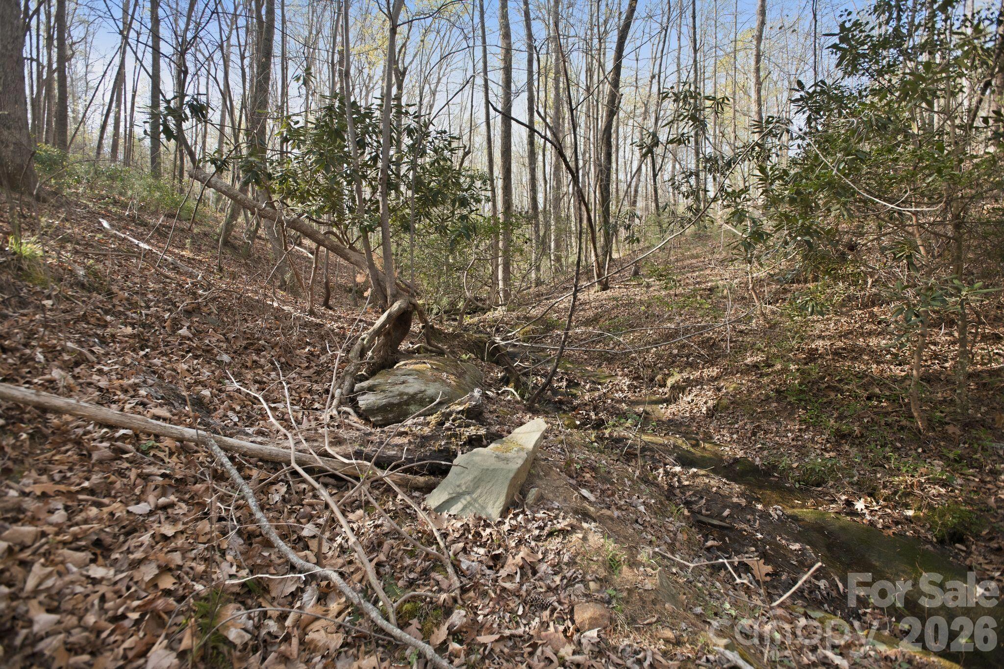 Blackberry Creek - Land