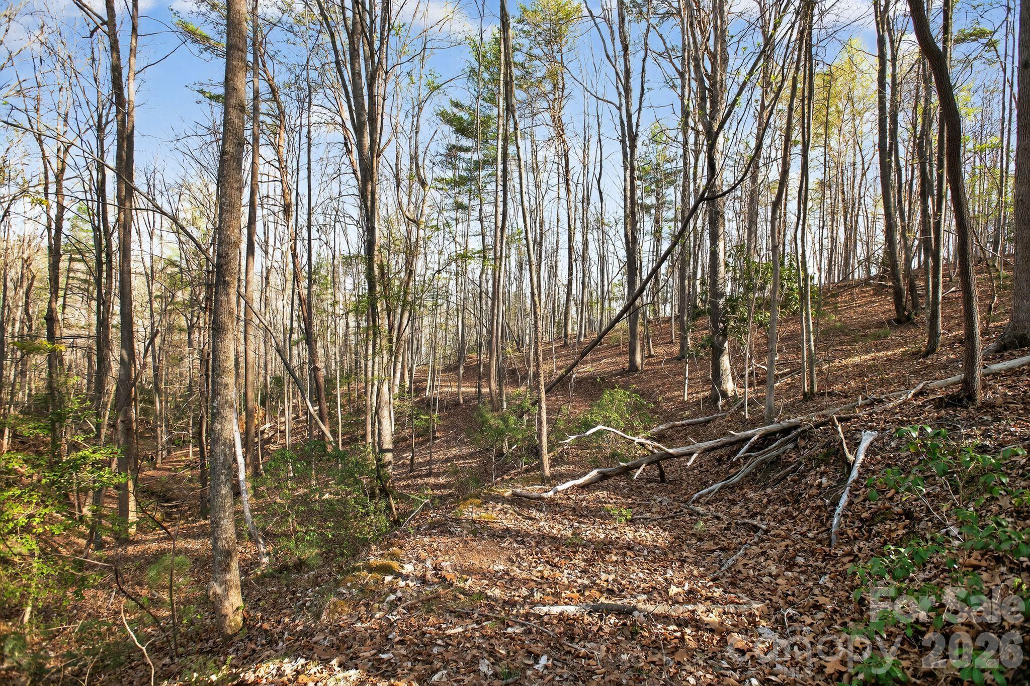 Blackberry Creek - Land